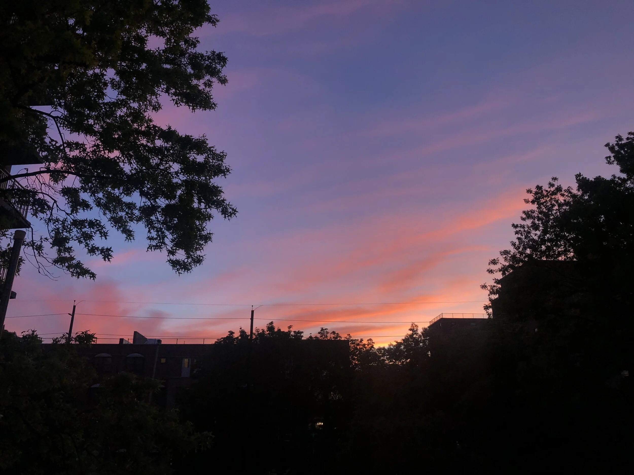 Quarantine Diaries, Uncertainty &amp; The Truth