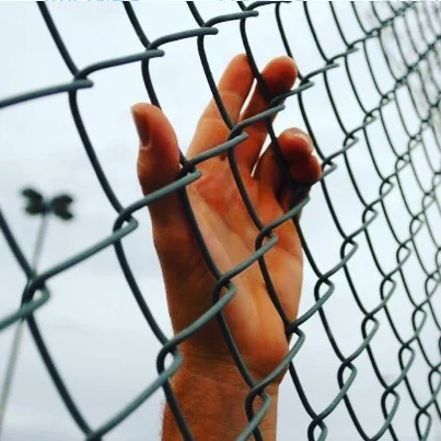 fence.jpg