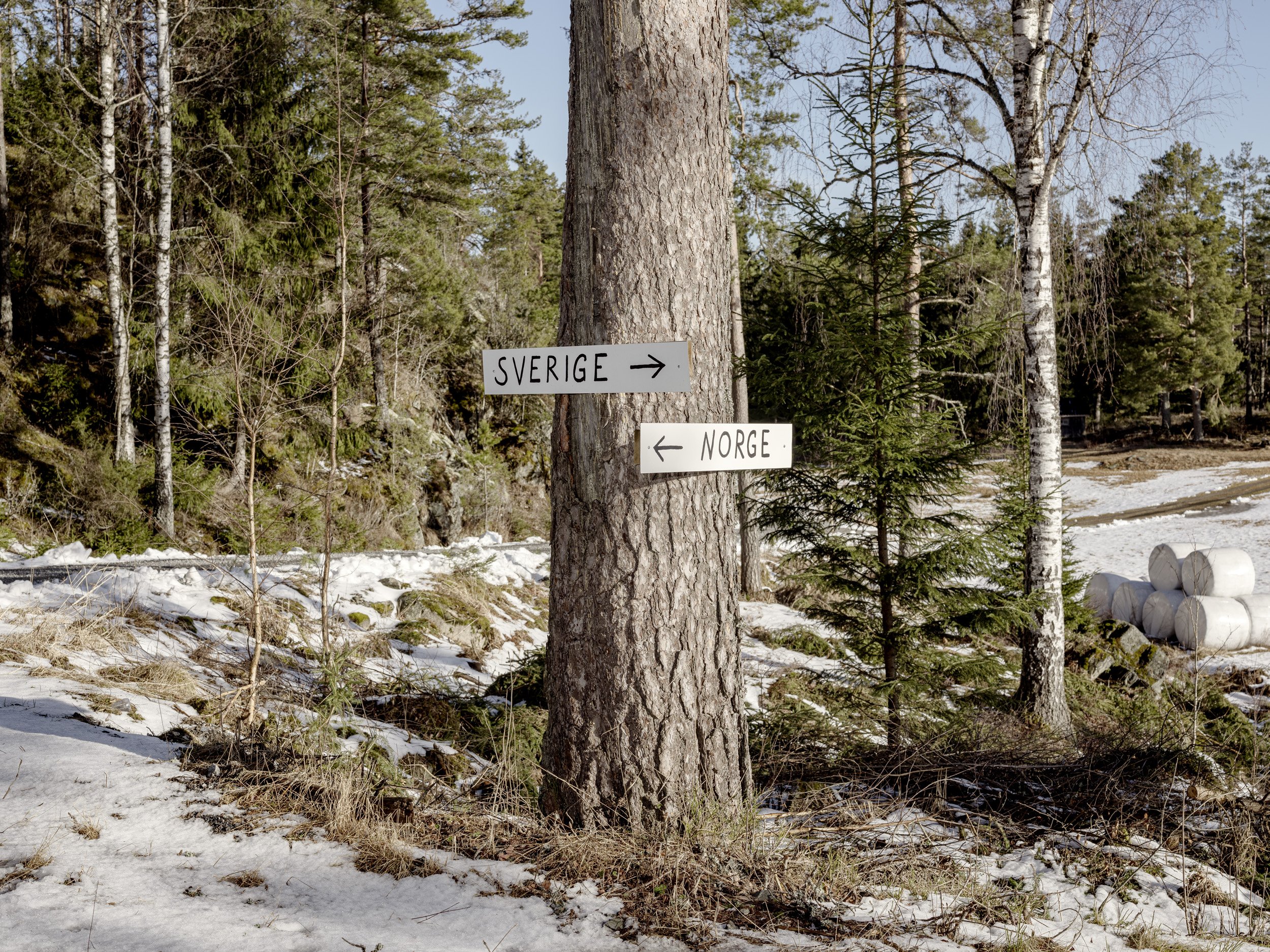 Rørvikveien