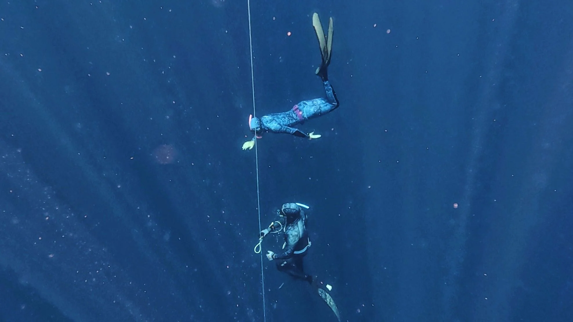 Spearfishing Freediving Charters WA