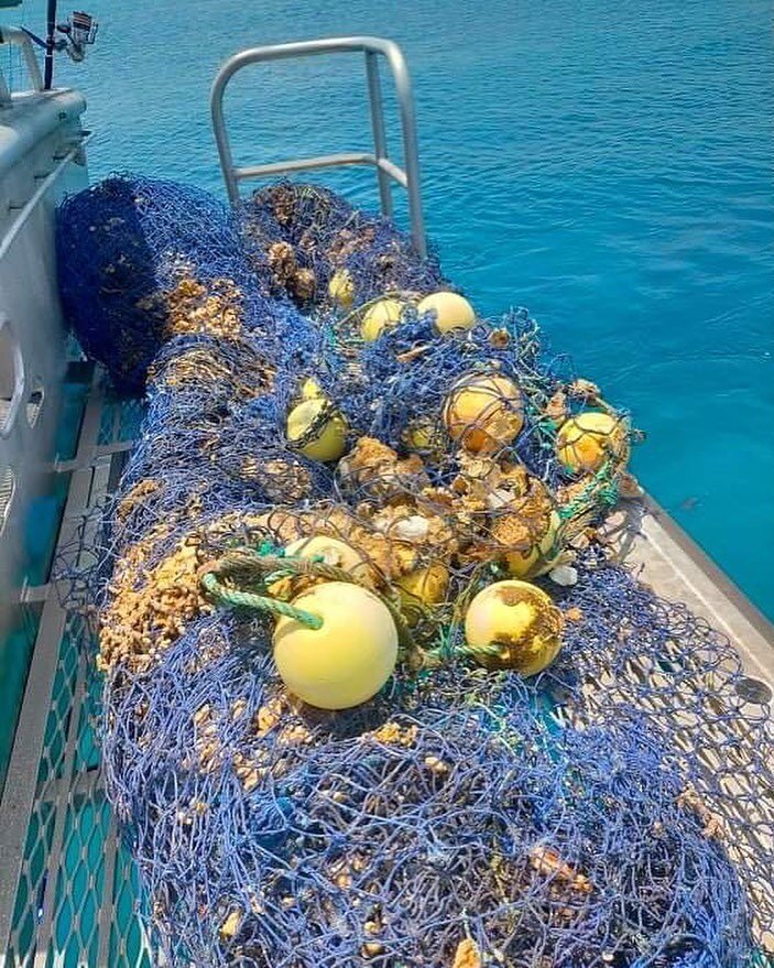 Thankfully we seen this before coming back in tonight. Thanks to the crew and guests getting hot and sweaty retrieving this Ghost Net at Scott Reef today. Not only helping to protect the marine environment but also save some one fouling their props. 