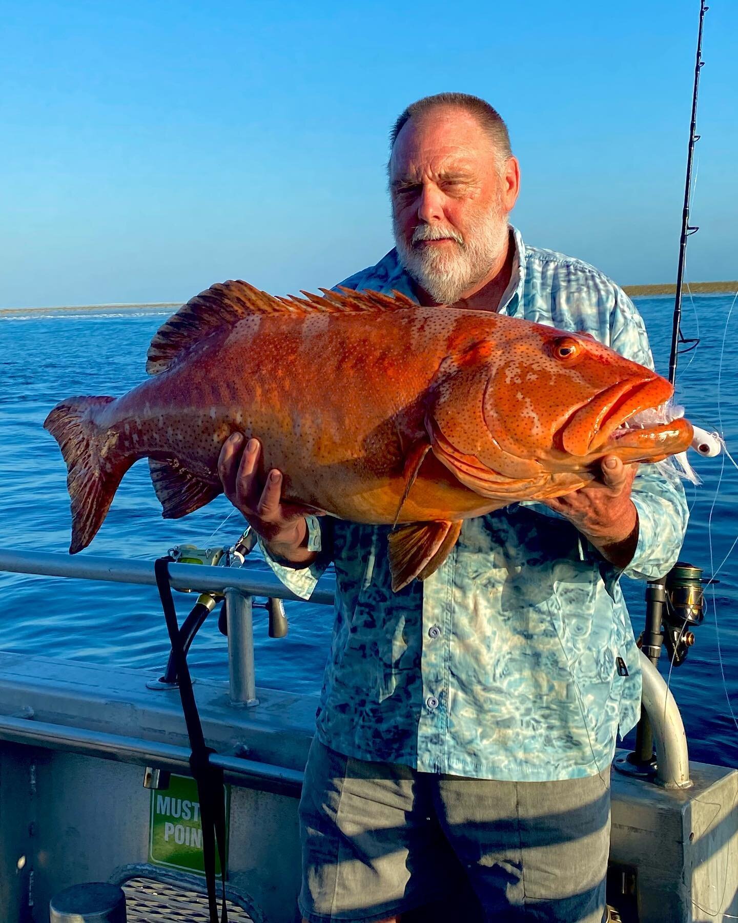 Just when we thought we had seen the biggest we met this Trout, if we were able to weigh it on official club scales it might have been an Australian record at 16.1 kg and 103 cm. 
We seem to keep finding them at the 103 cm mark but they are getting h