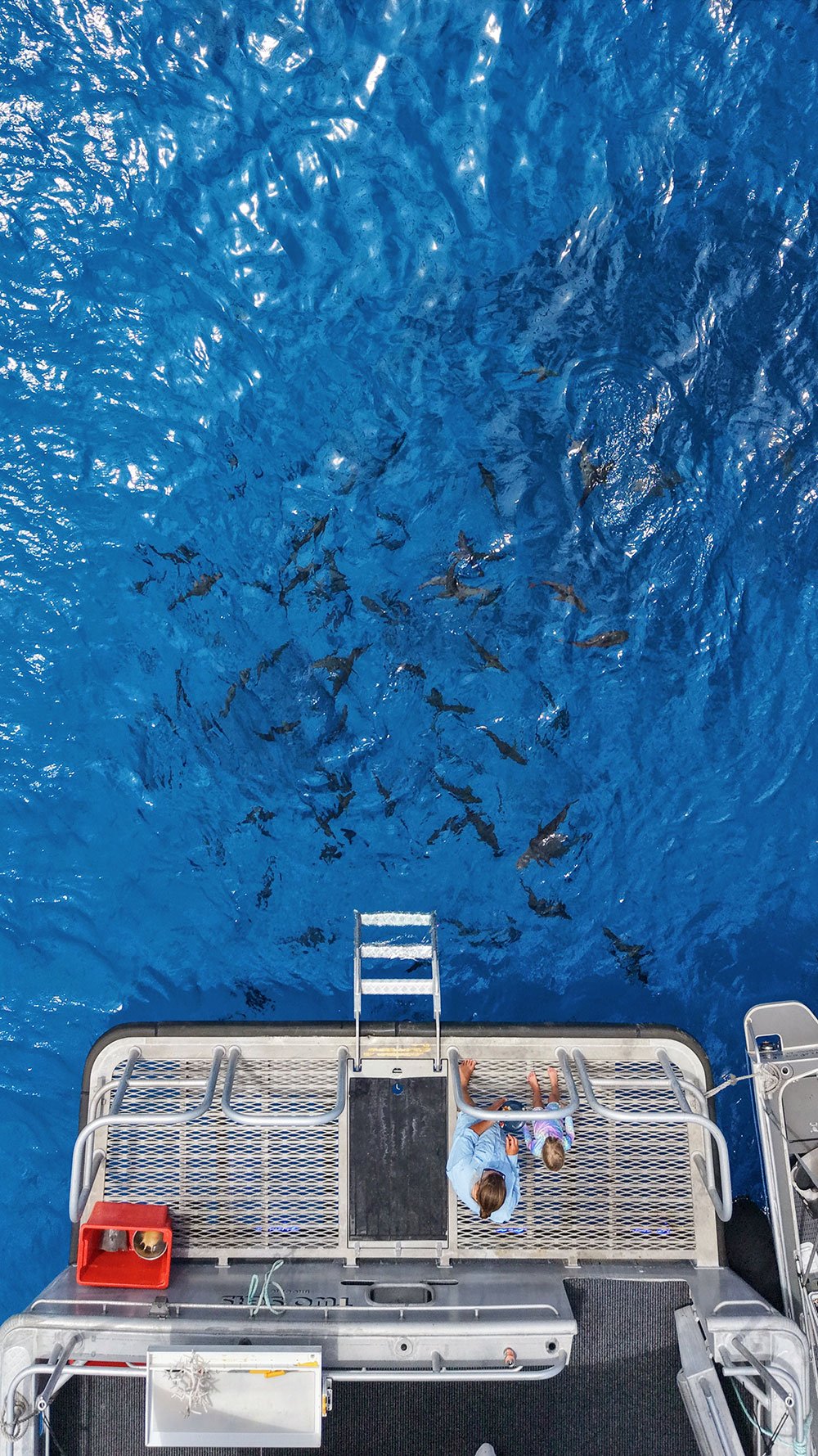Marine Research Charter Vessel