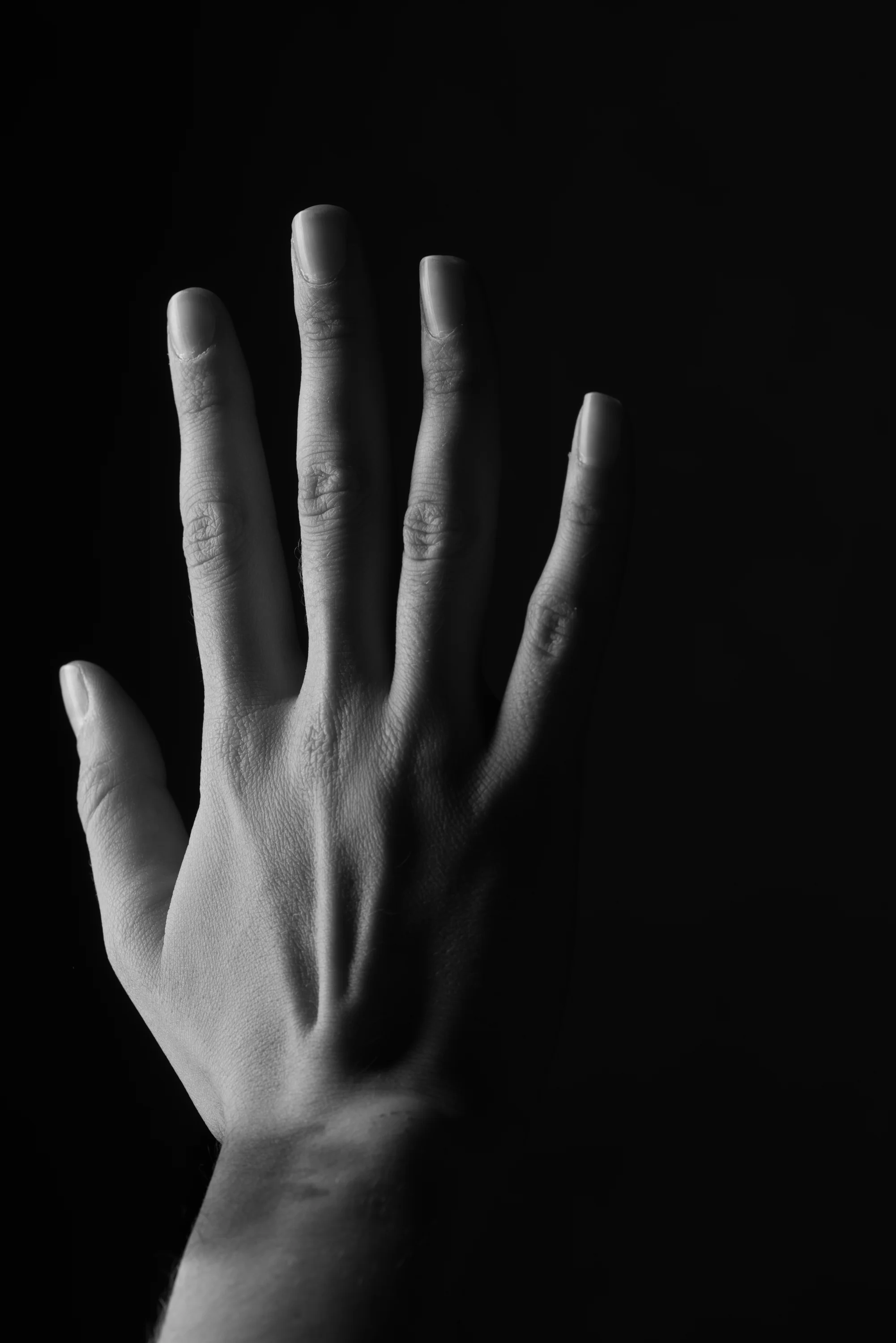 20180419 - 3956-Edit.jpg