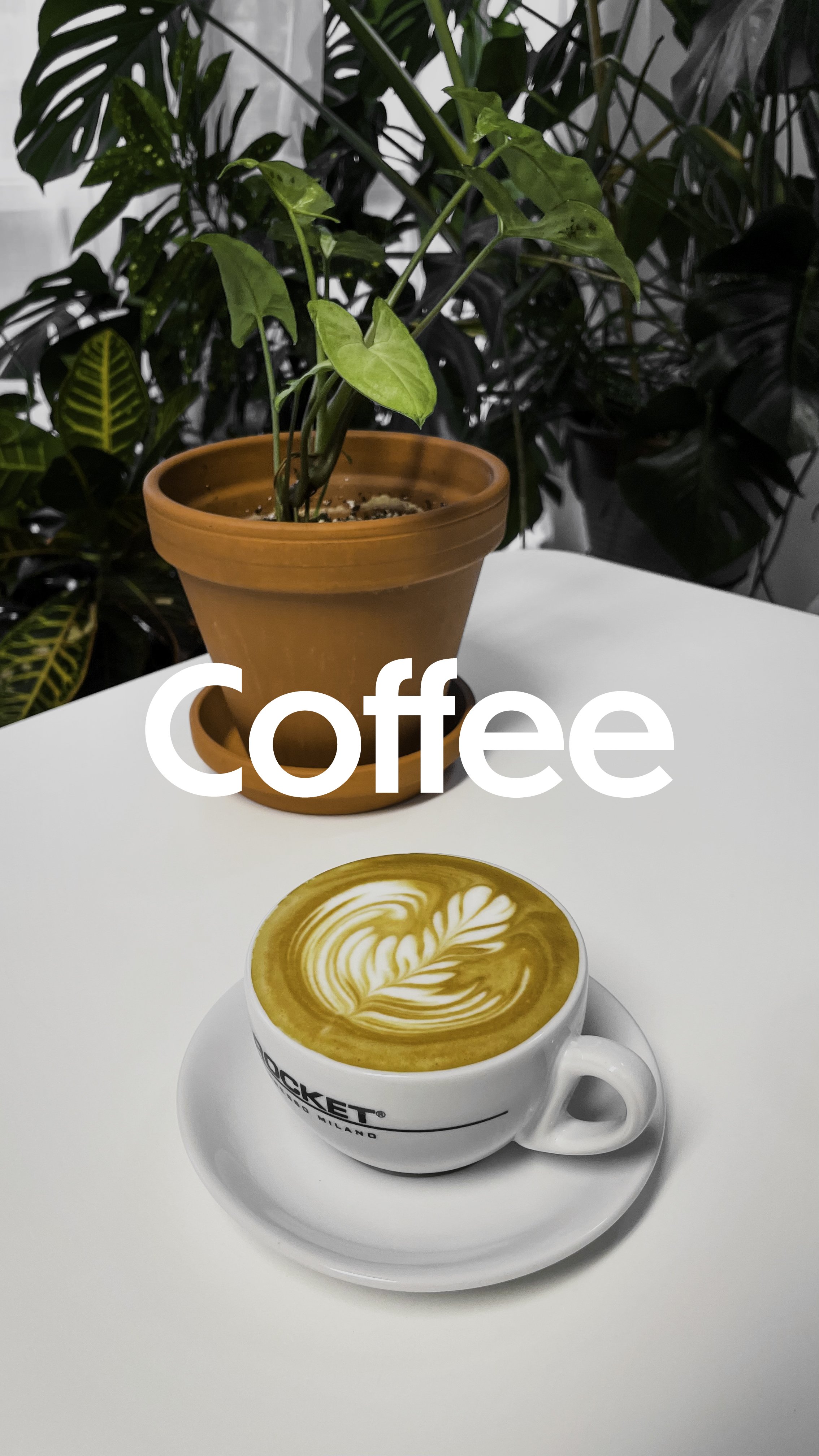 Coffee Typography Reel