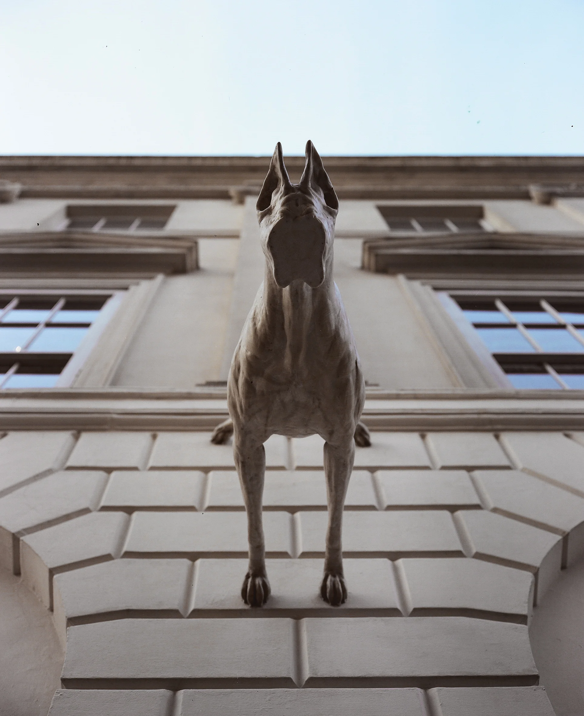 smashfacedogstatue1_2.jpg