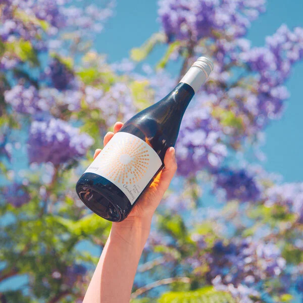 Huge Wine Offer!