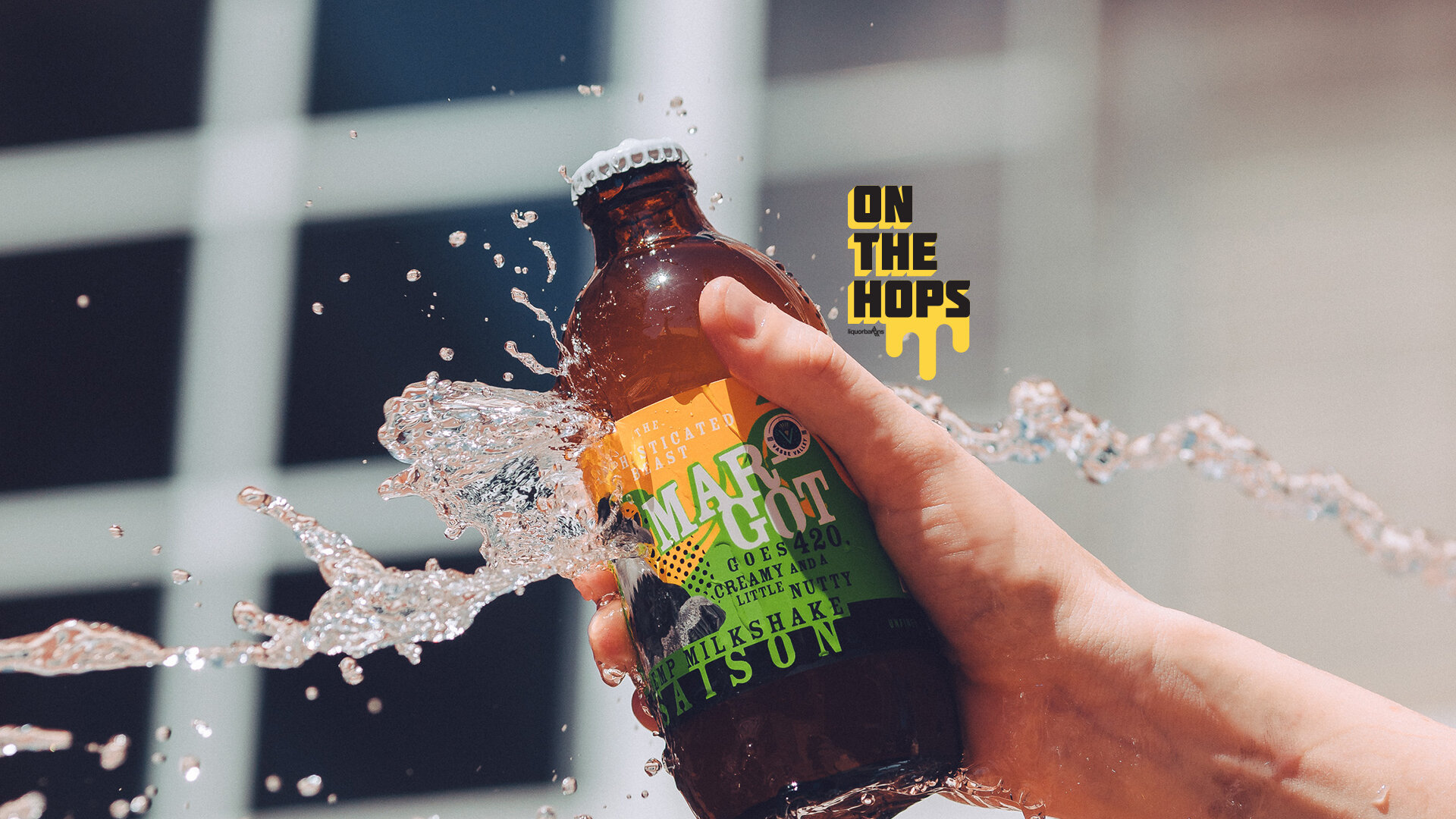 ON THE HOPS VII Mixed 6pk