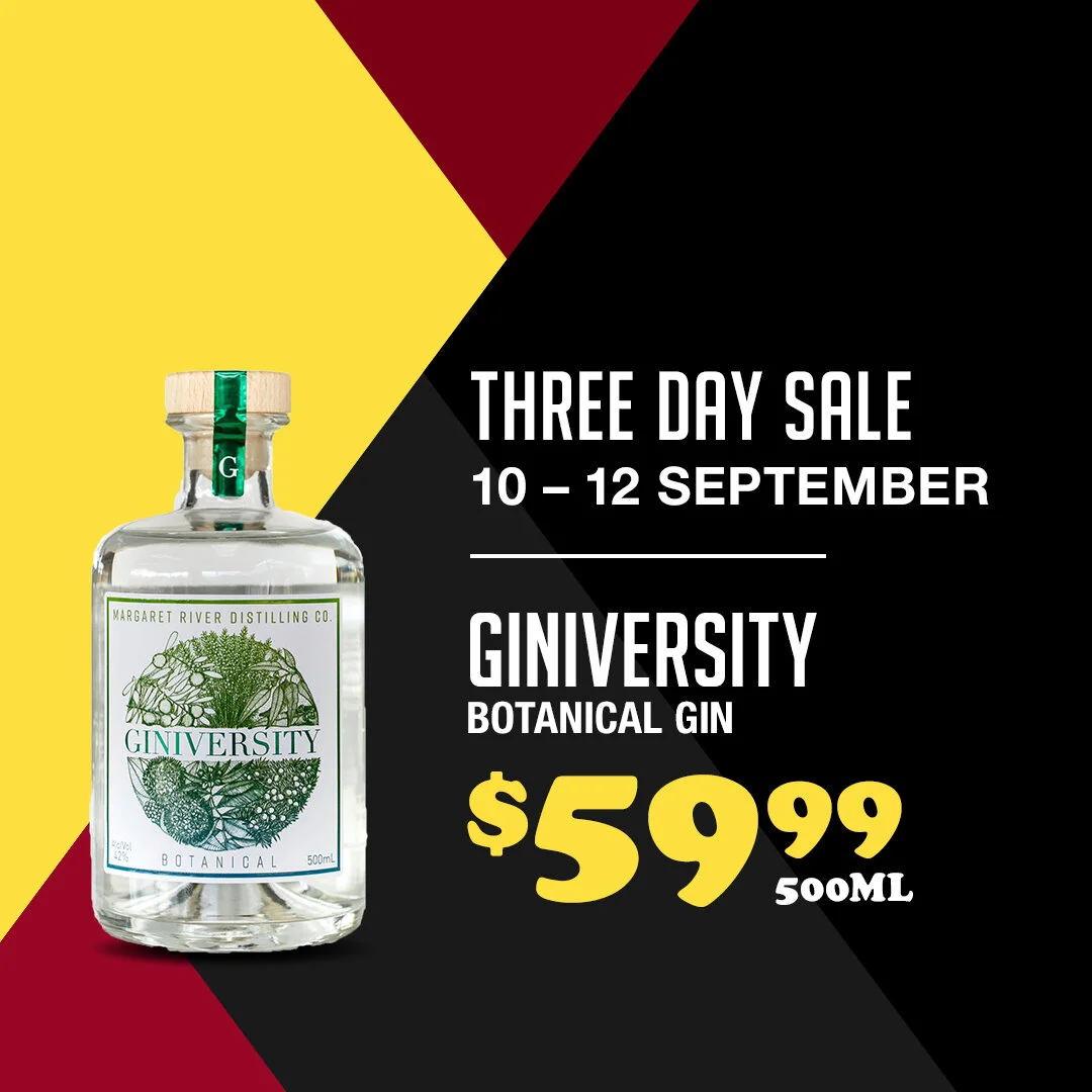 Giniversity_3DS_P08_POST.jpg