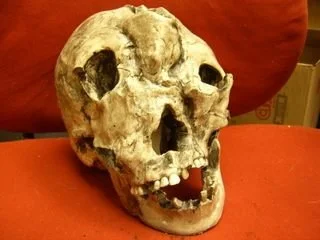 Lone Wolf Skull 2.jpeg