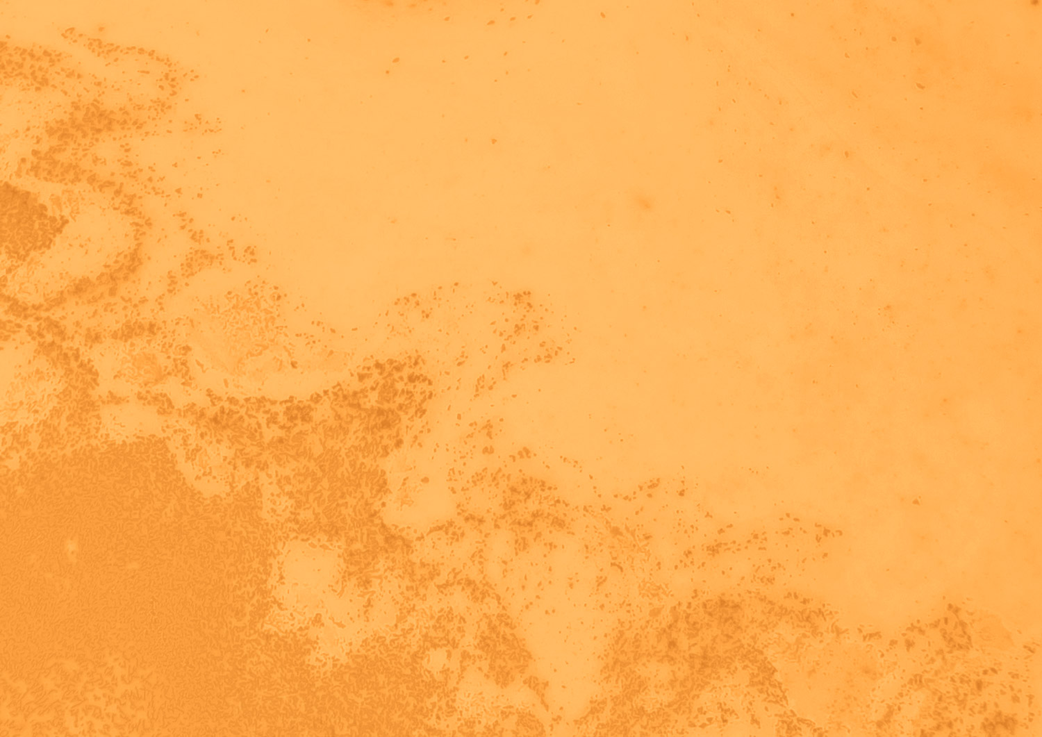 textured_backgrounds_01.jpg