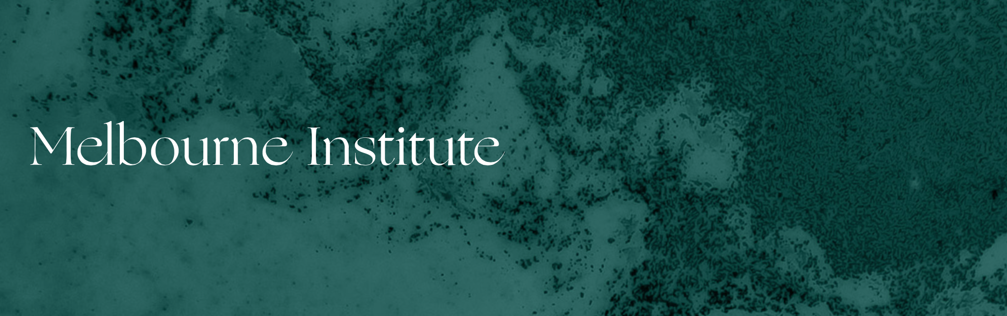 MelbourneInstitute_Image.png