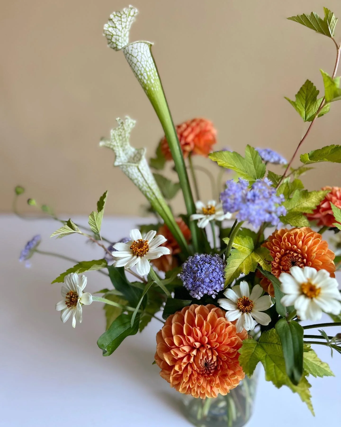 New favorite color palette alert 🚨