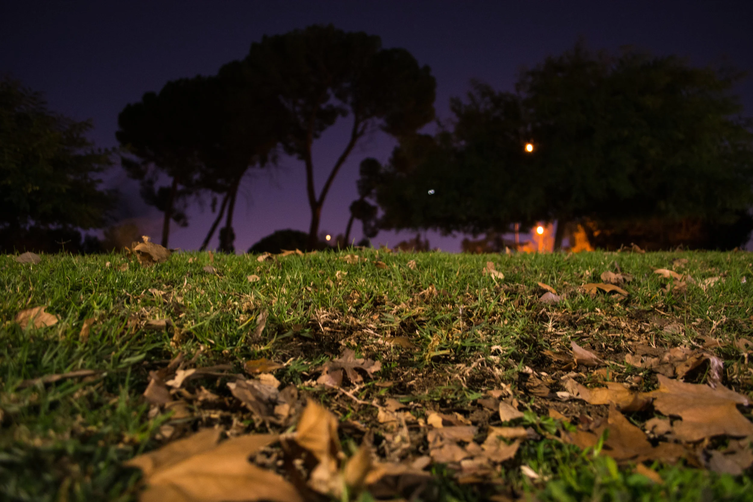 Opening (6 of 13).jpg
