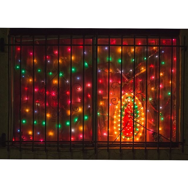 December, 2016.
.
.
.

#VirgenDeGuadalupe #Virgen #Guadalupe #Mexico #Panorama #PanoramaCity #LA #LosAngeles #818 #SFV #Christmas #Lights #Holiday #December #Window #Apartments #StreetPhotography