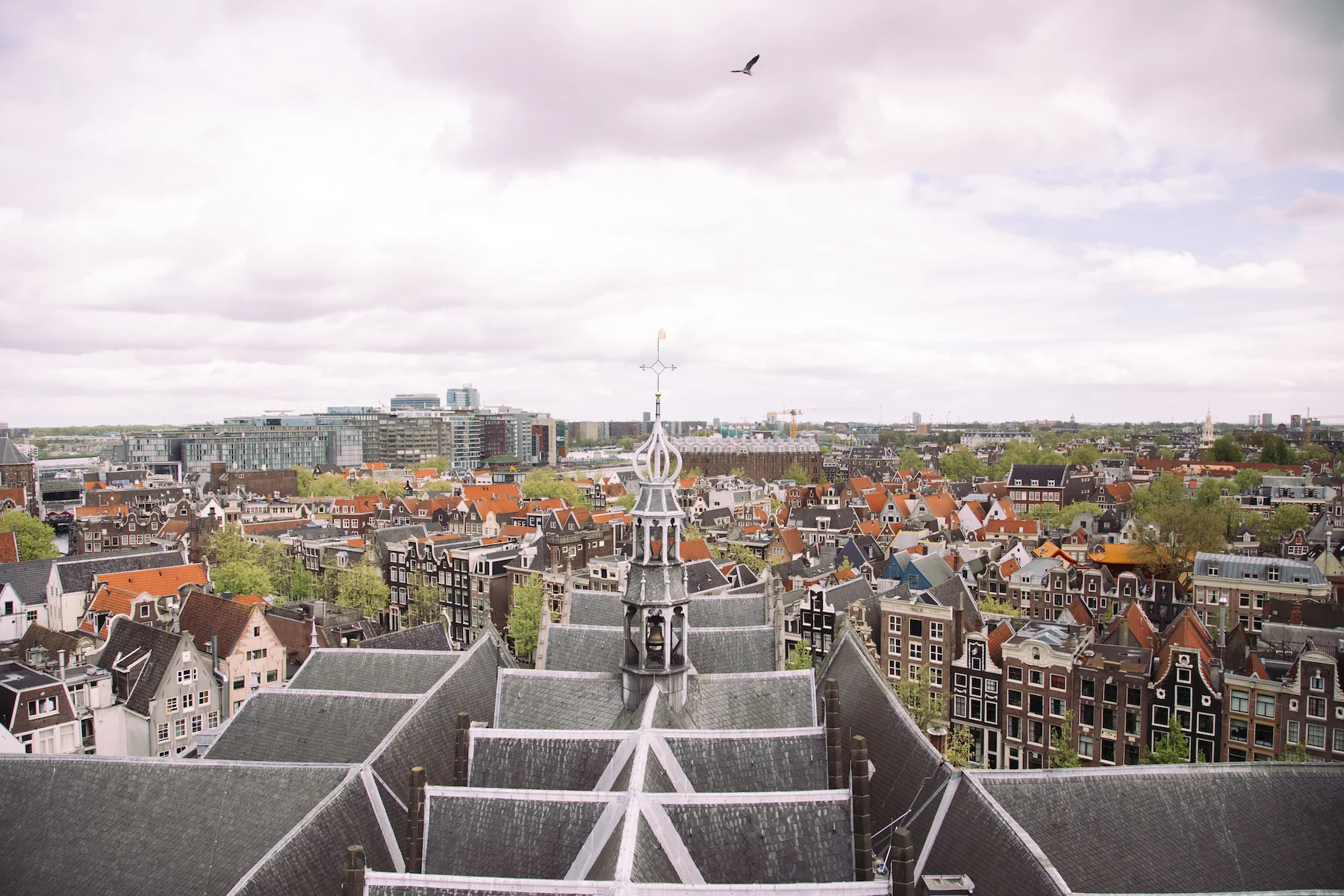 Amsterdam_MichelleArdiel-10.jpg