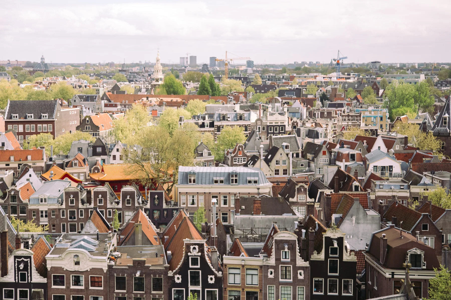 Amsterdam_MichelleArdiel-20.jpg