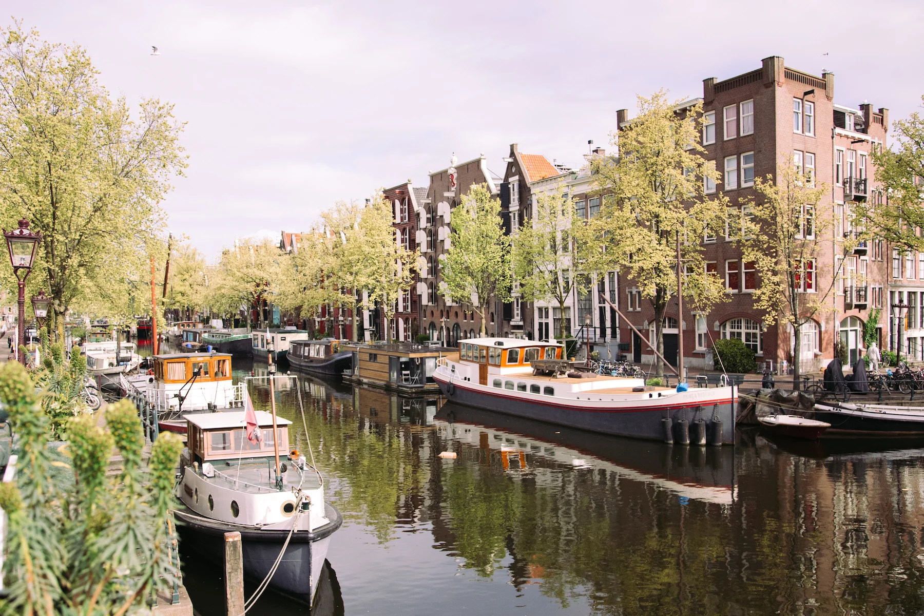 Amsterdam_MichelleArdiel-52.jpg