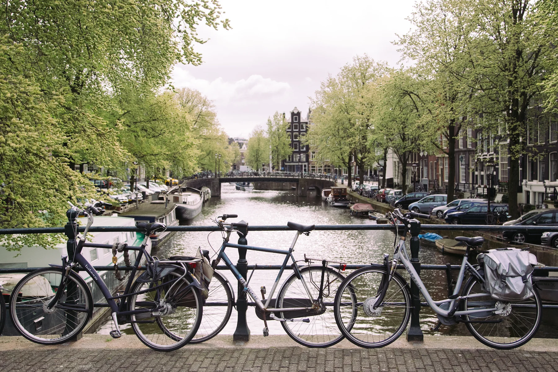 Amsterdam_MichelleArdiel-56.jpg