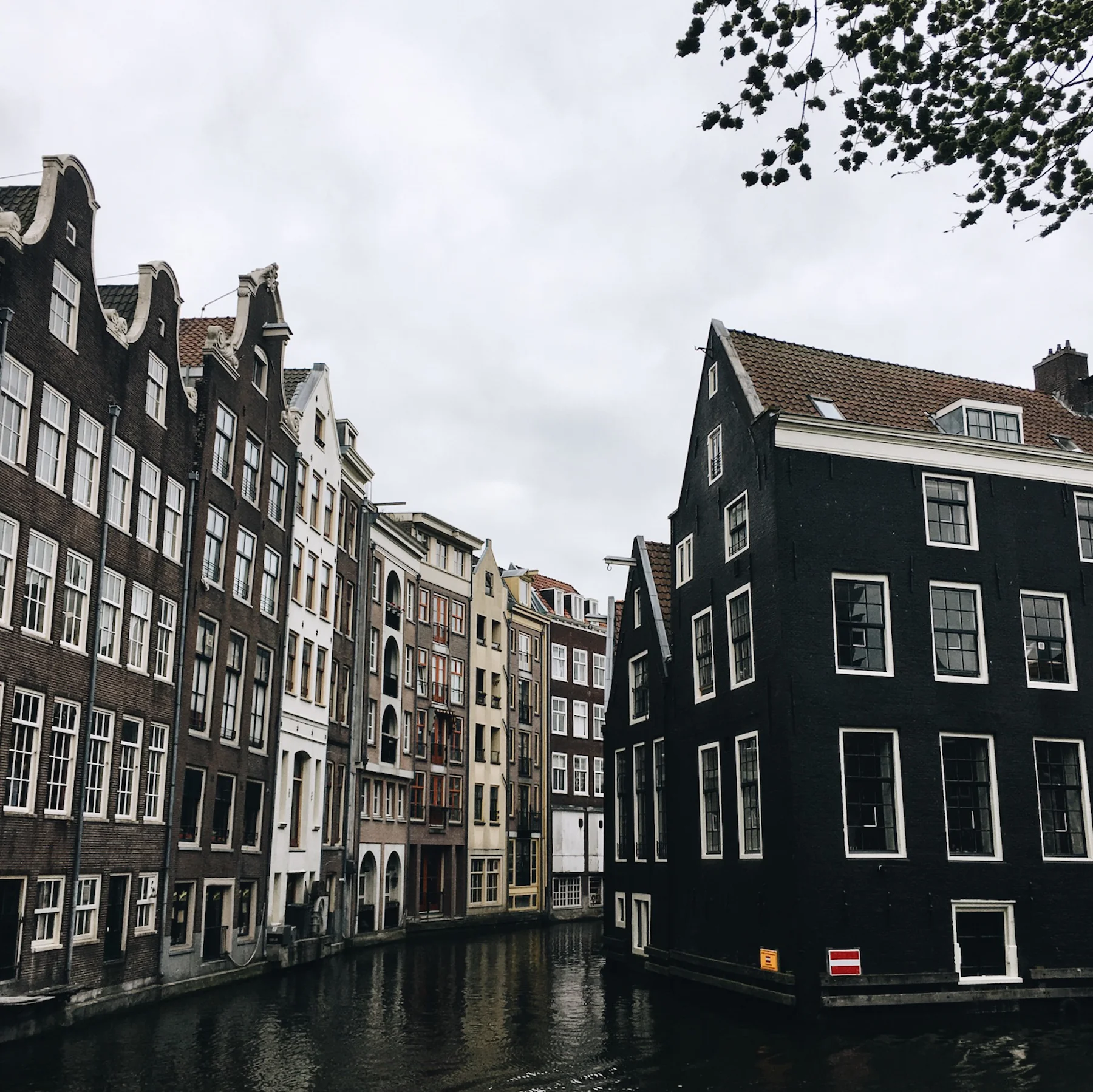 Amsterdam_MichelleArdiel-1004.jpg