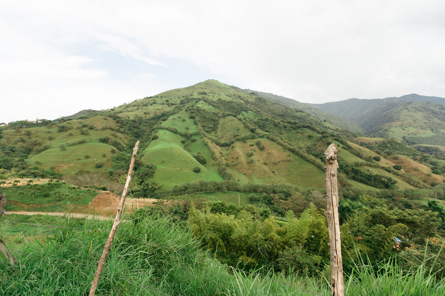 Colombia2018_MichelleArdiel-101.jpg