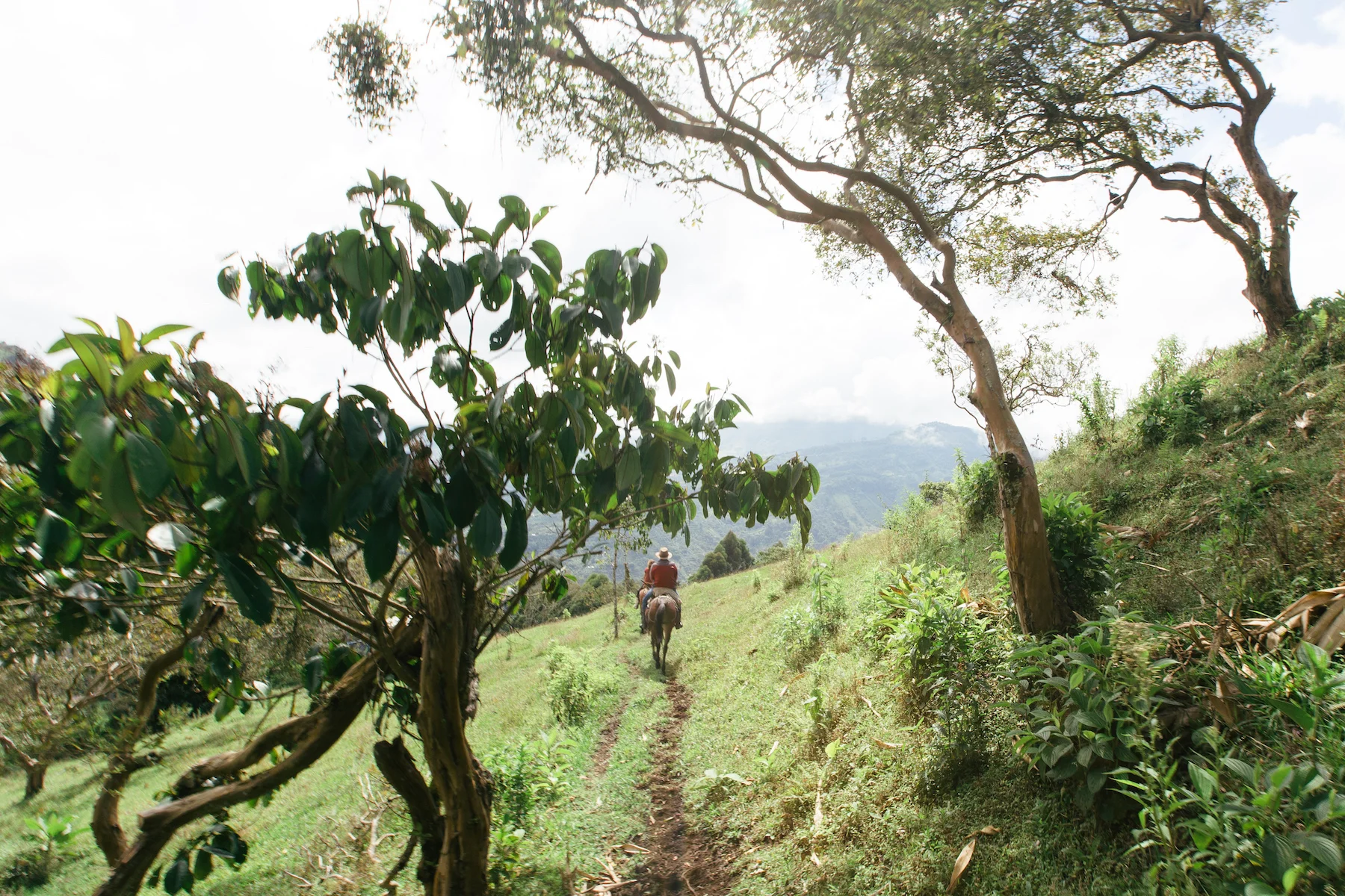 Colombia2018_MichelleArdiel-86.jpg