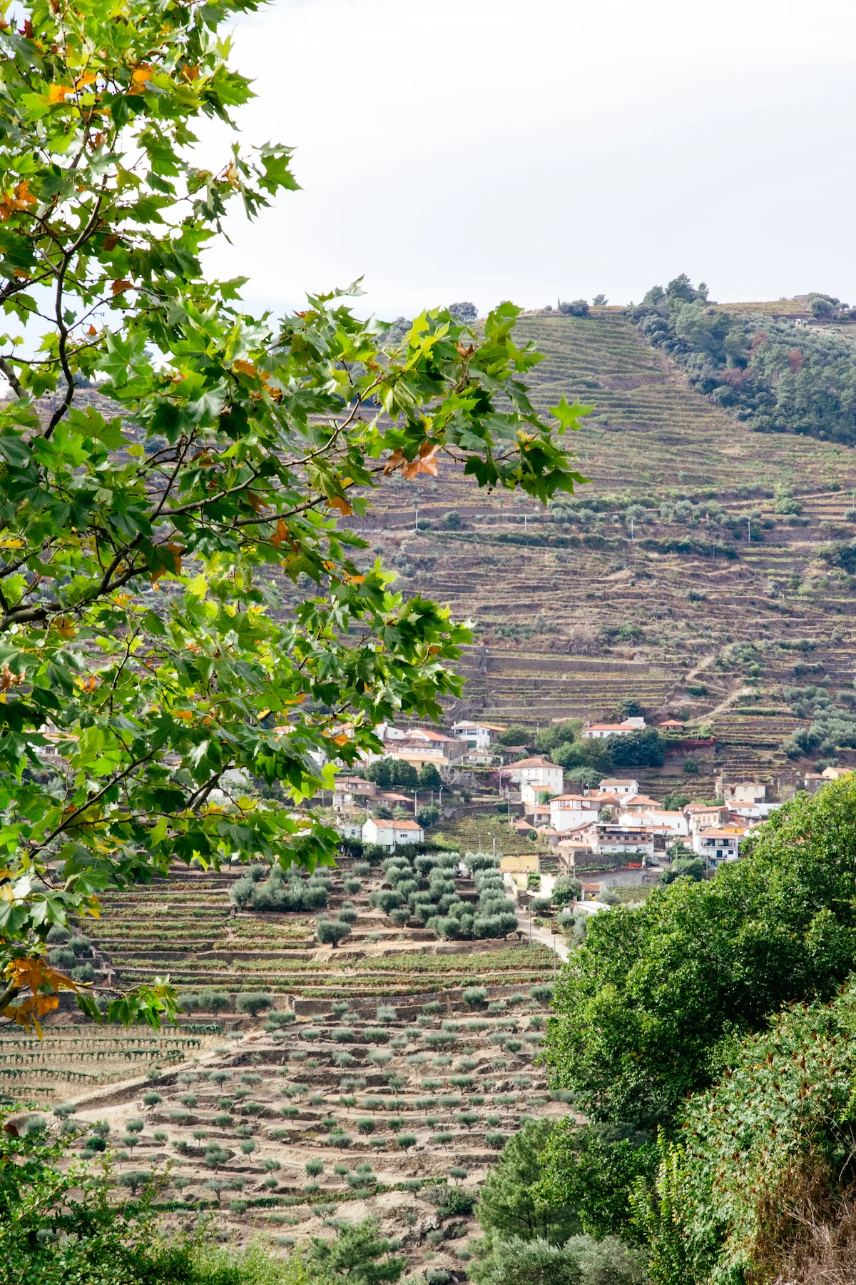 MIchelleArdiel_Portugal2018-210.jpg