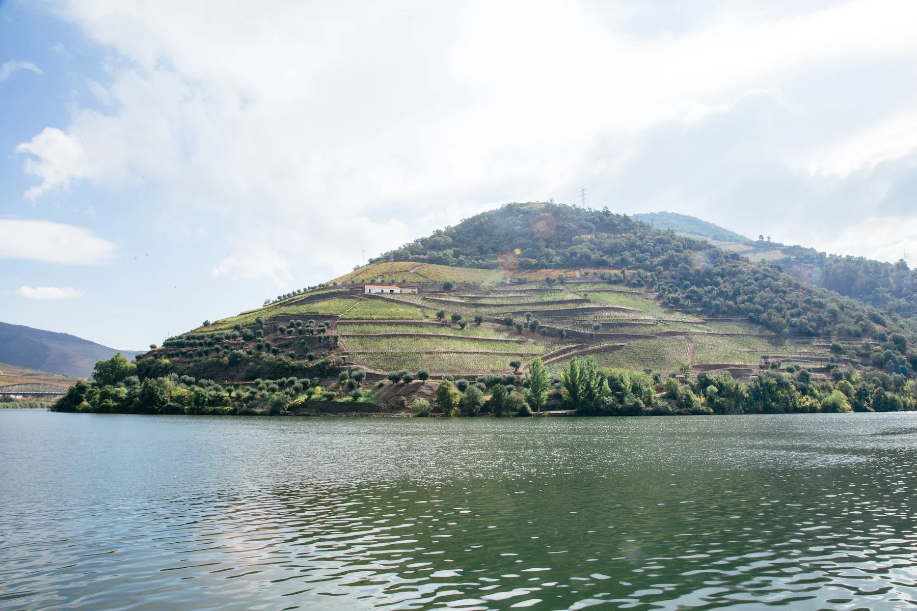 MIchelleArdiel_Portugal2018-242.jpg