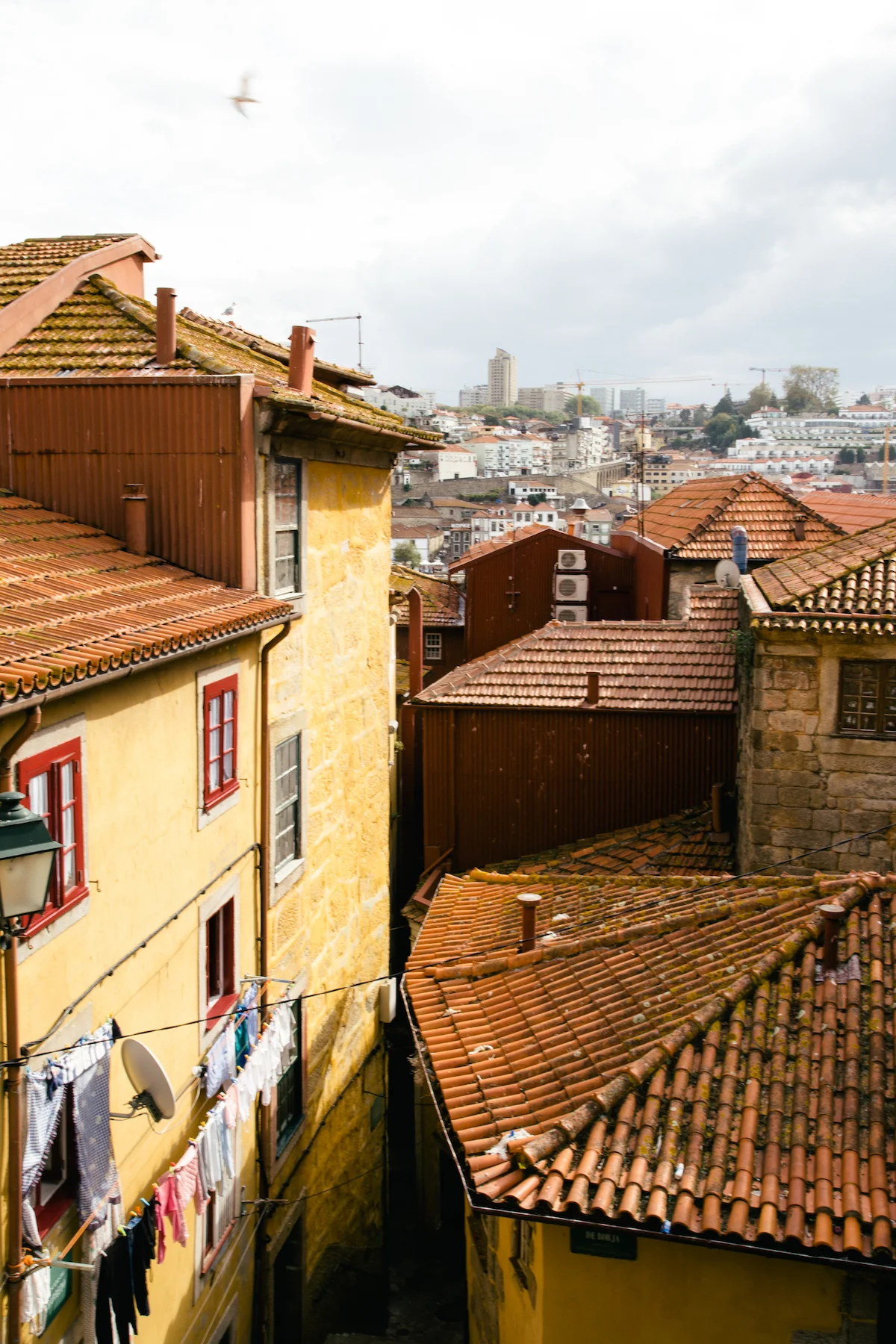 MIchelleArdiel_Portugal2018-271.jpg
