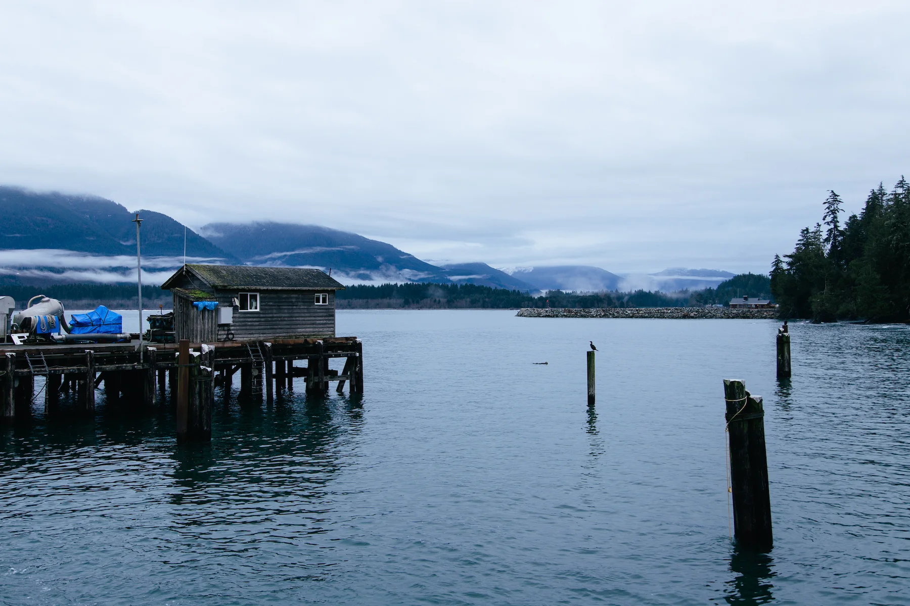 _MG_7765-48.jpg