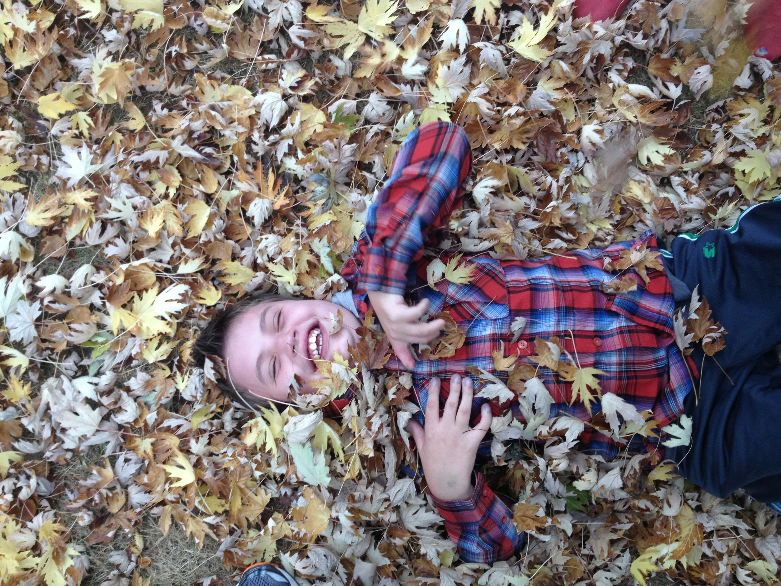 Iphone 11 16 2012 076.JPG