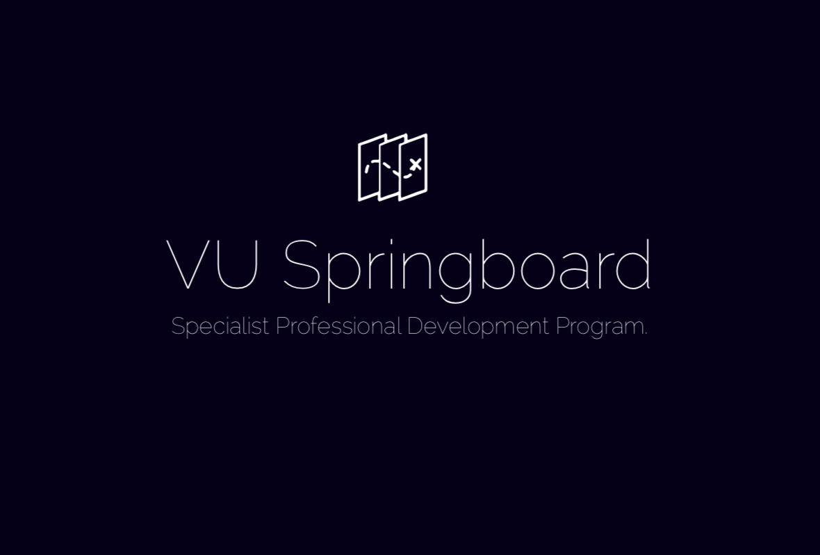 springboard visuual 2.png