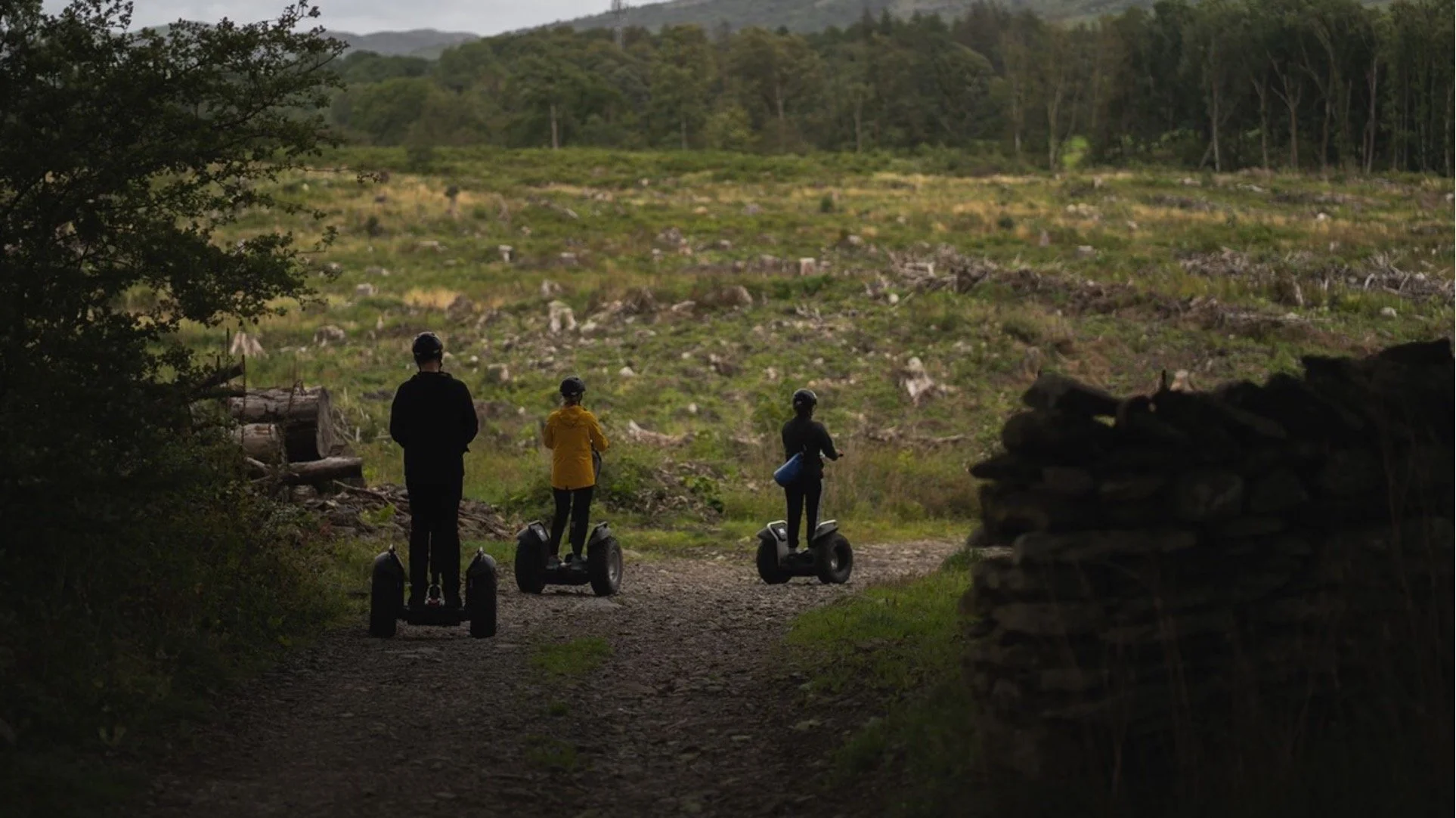 Downhill into Woods.jpg