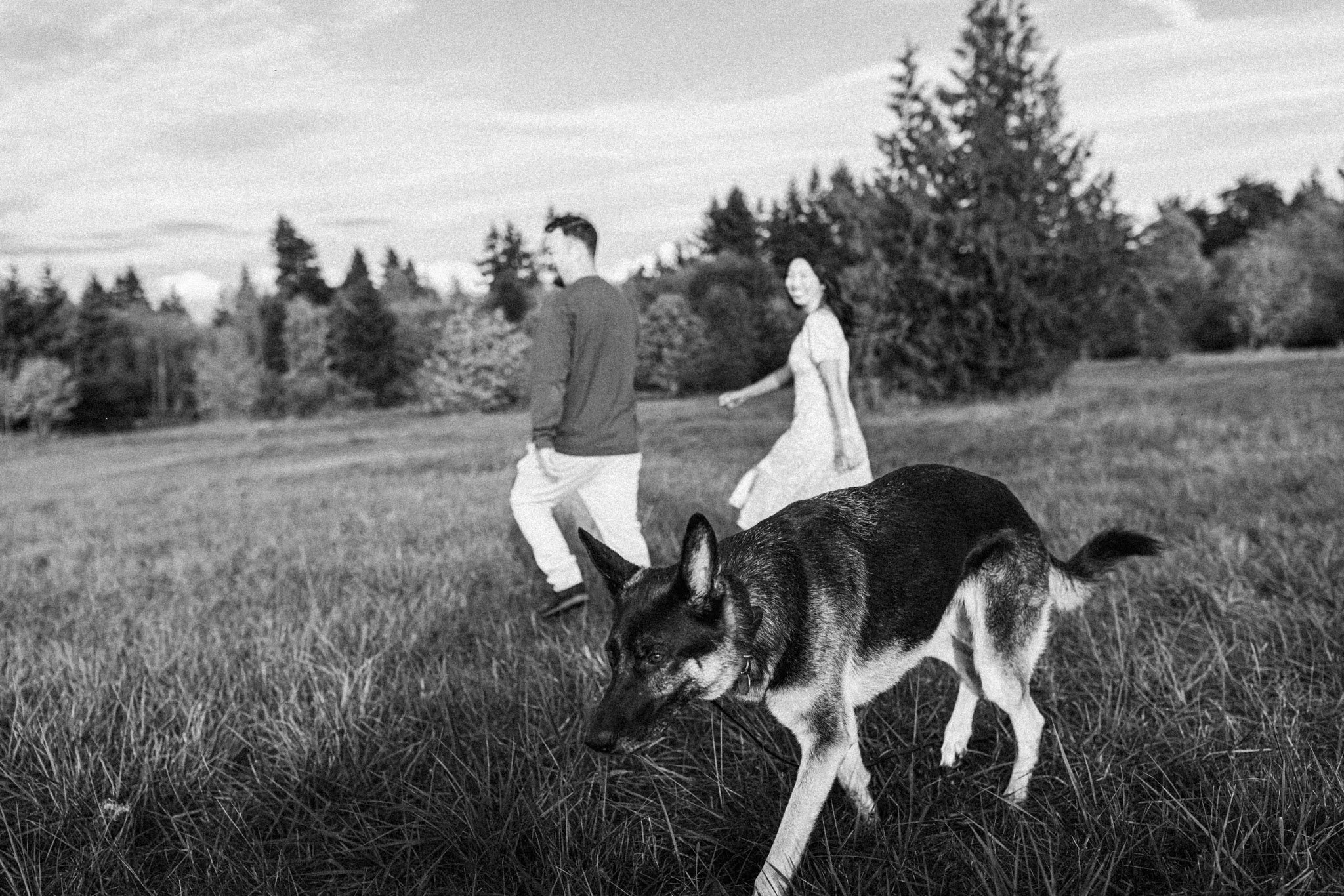 Couple Walking with Their Dog in Field | Seattle Lifestyle Photographer