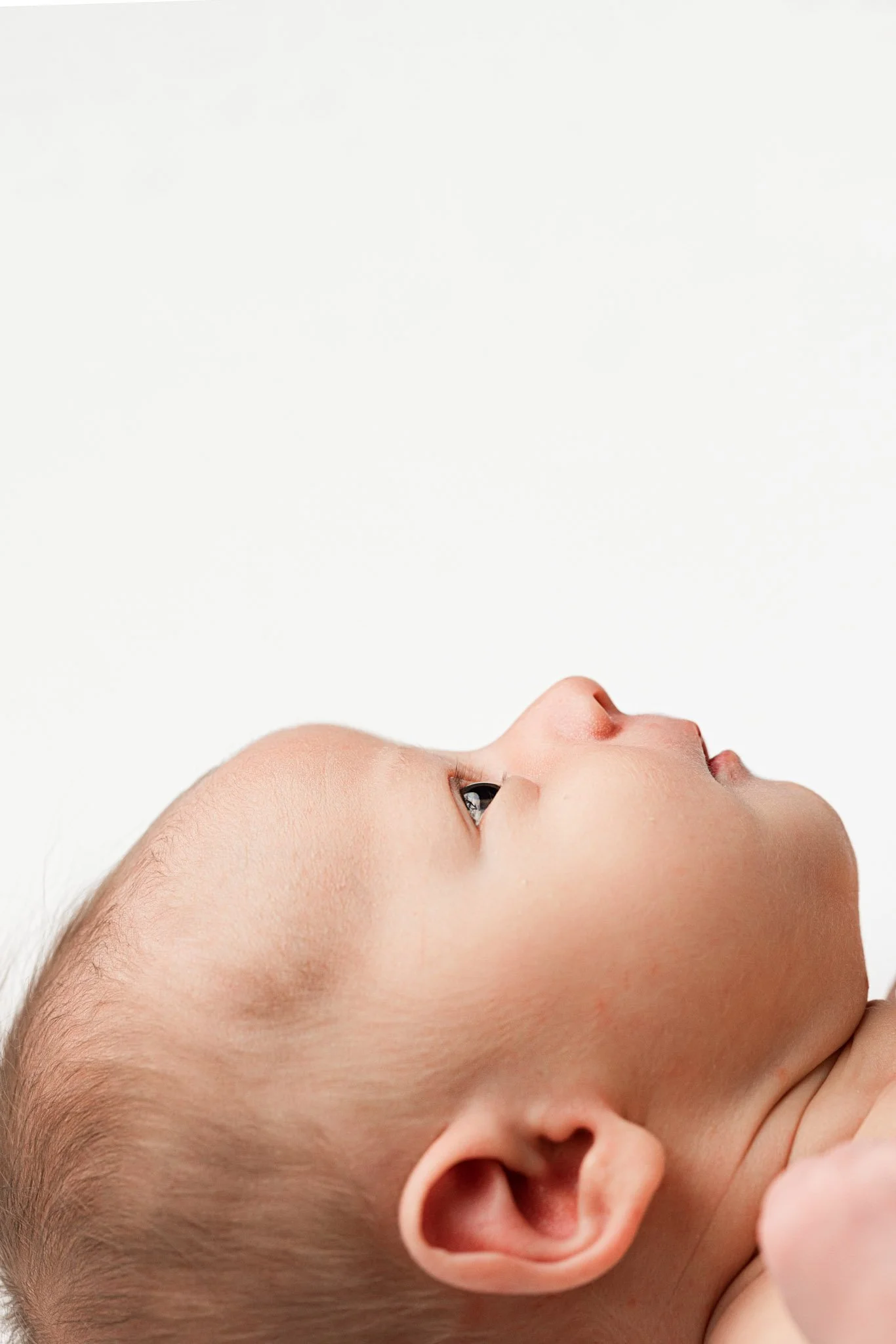 Timeless Newborn Profile Portrait