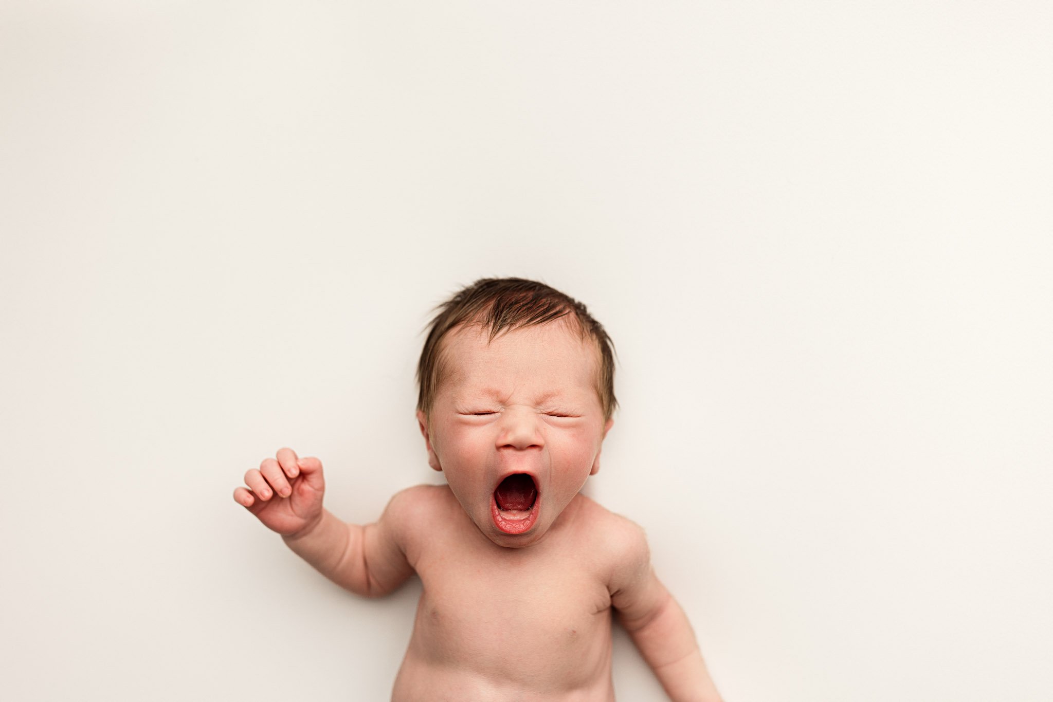A yawning newborn baby photographed in a minimalist studio style by a Bellevue and Redmond newborn photographer.