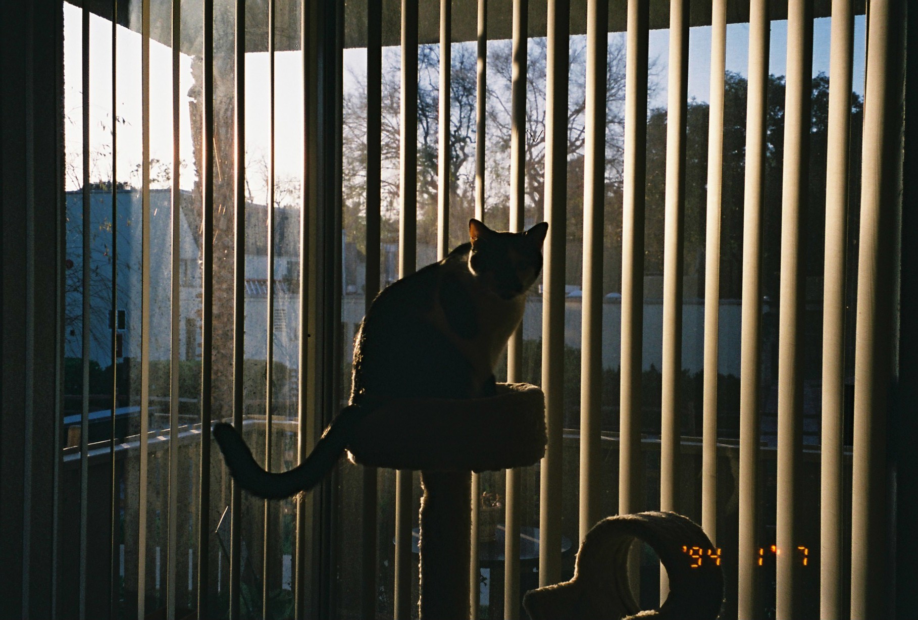 1520832662.jpg