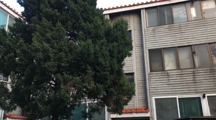 I didn’t take the best photo of the house but here’s an idea.
