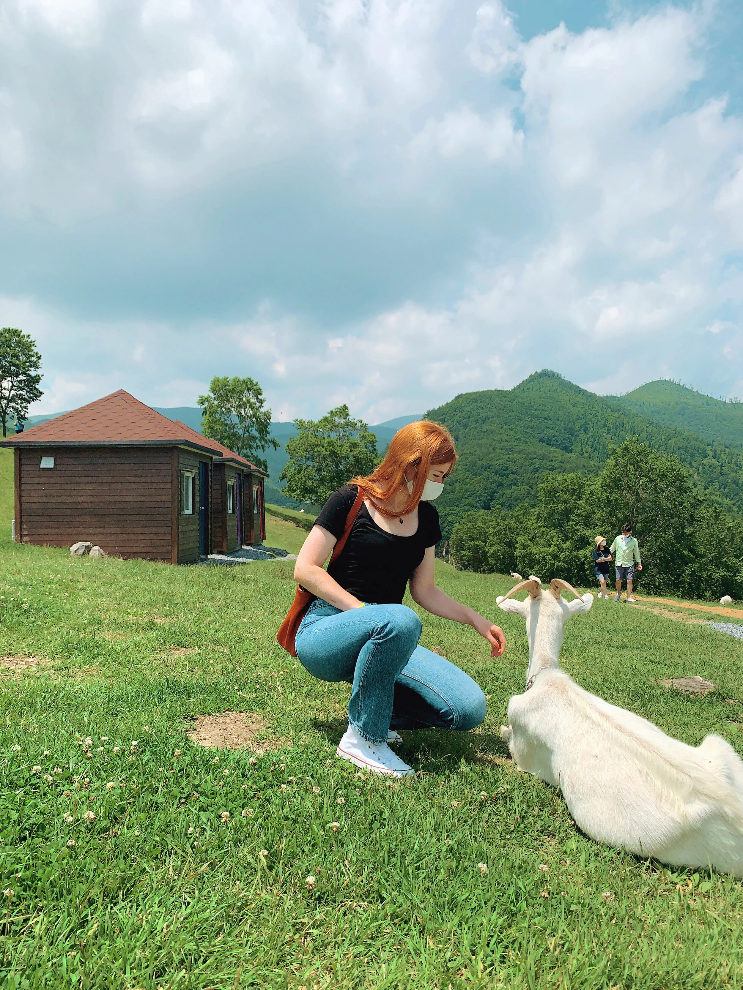Visiting Mongtorang Goat Farm in Taebaek, South Korea