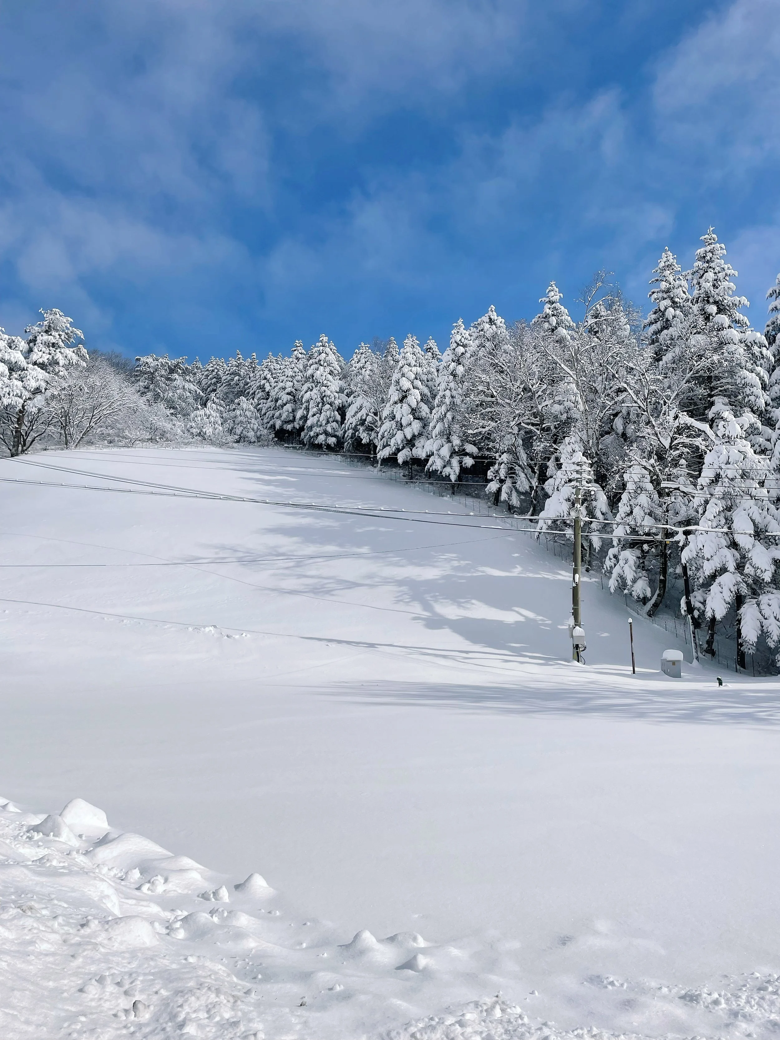 A Winter Day in Pyeongchang at Daegwallyeong Sheep Ranch in Gangwon-do Korea