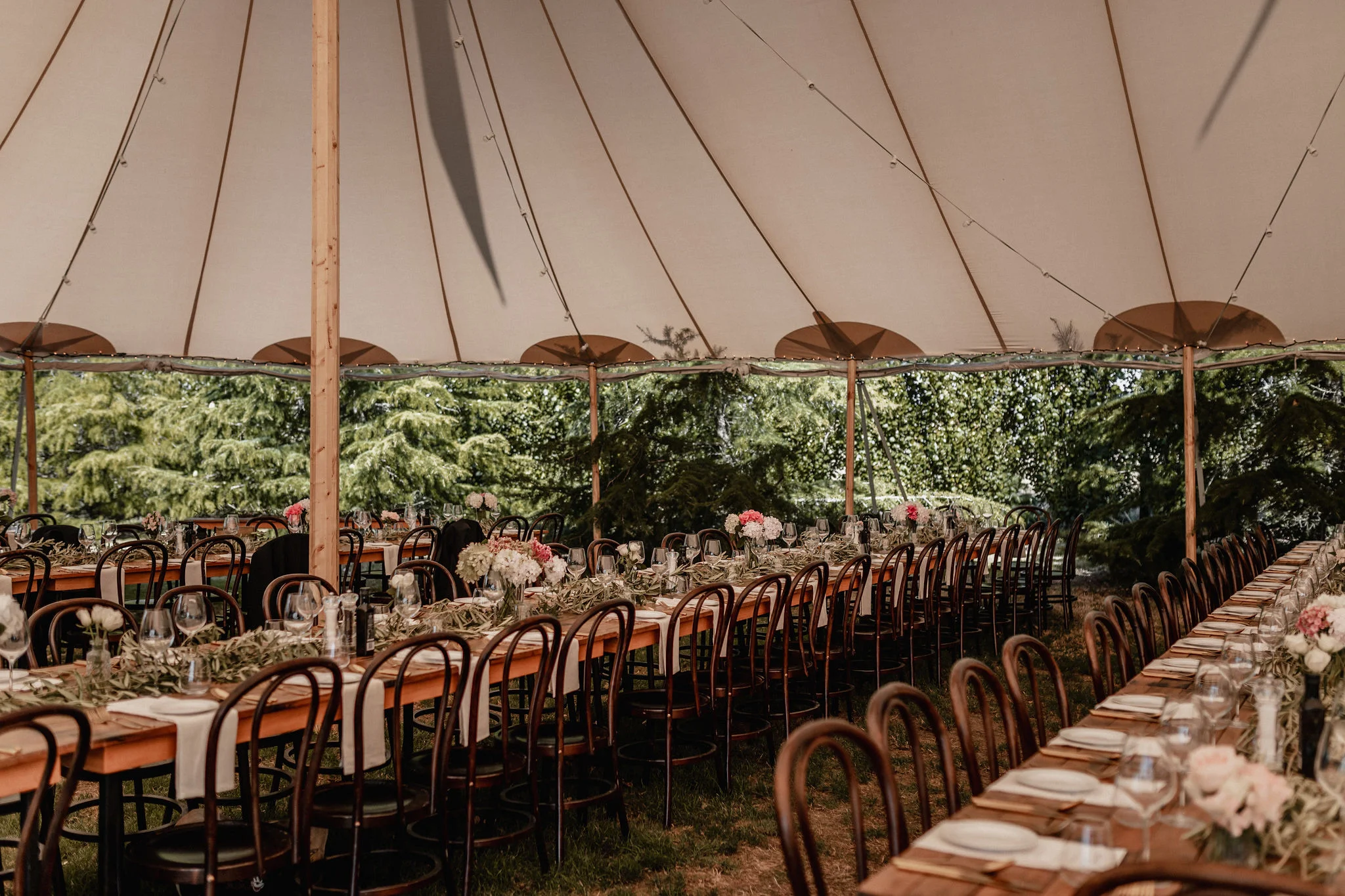 Mary Peterson   The following is placeholder text known as “lorem ipsum,” which is scrambled Latin used by designers to mimic real copy. Vivamus a ante congue, porta nunc nec, hendrerit turpis. Class aptent taciti sociosqu ad litora torquent per conubia nostra, per inceptos himenaeos. Fusce at massa nec sapien auctor gravida in in tellus.