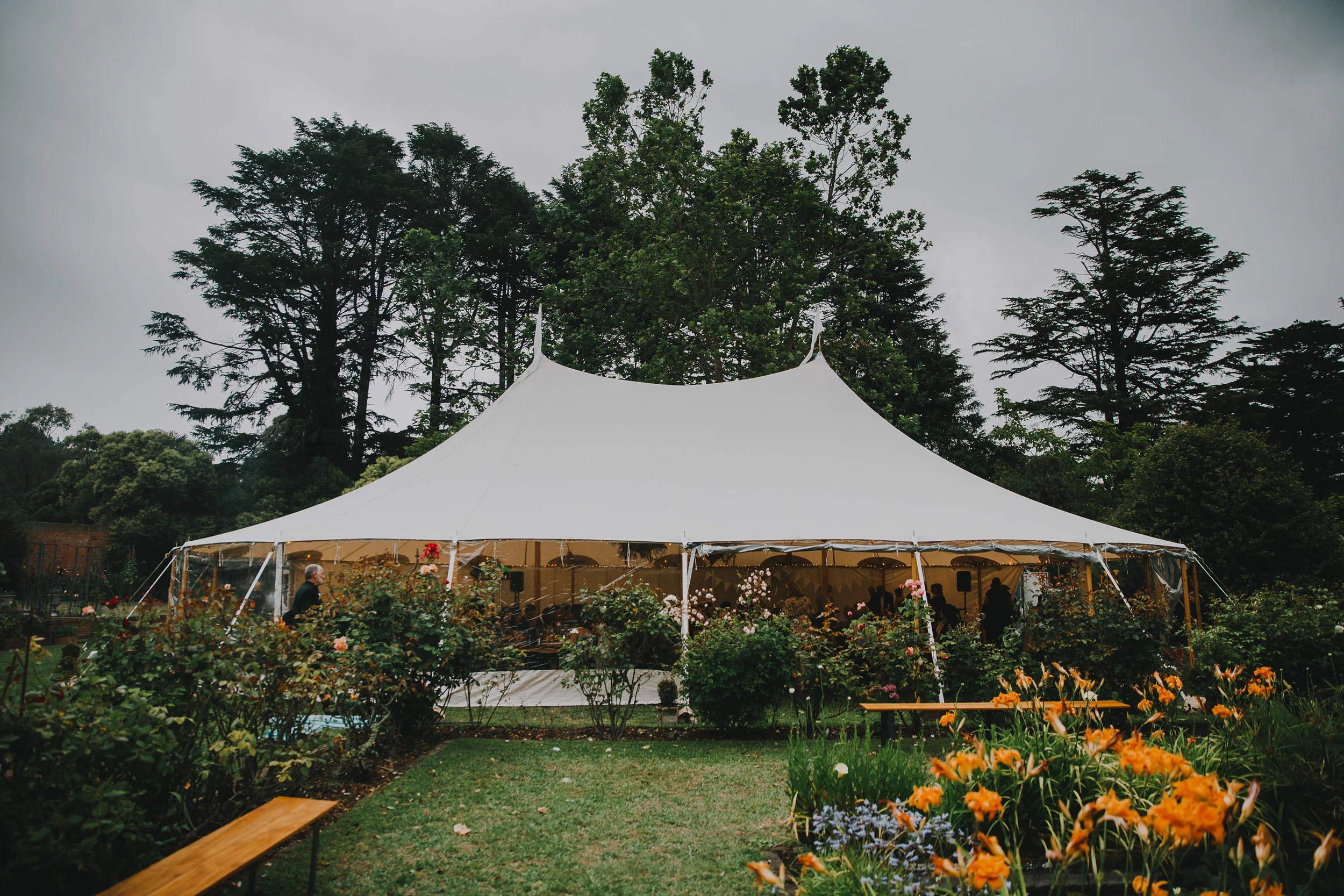 Todd Liu   The following is placeholder text known as “lorem ipsum,” which is scrambled Latin used by designers to mimic real copy. Donec ac fringilla turpis. Vivamus sit amet semper lacus, in mollis libero. Aenean eu justo sed elit dignissim aliquam. Fusce at massa nec sapien auctor gravida in in tellus. Nullam sit amet nisi condimentum erat iaculis auctor.