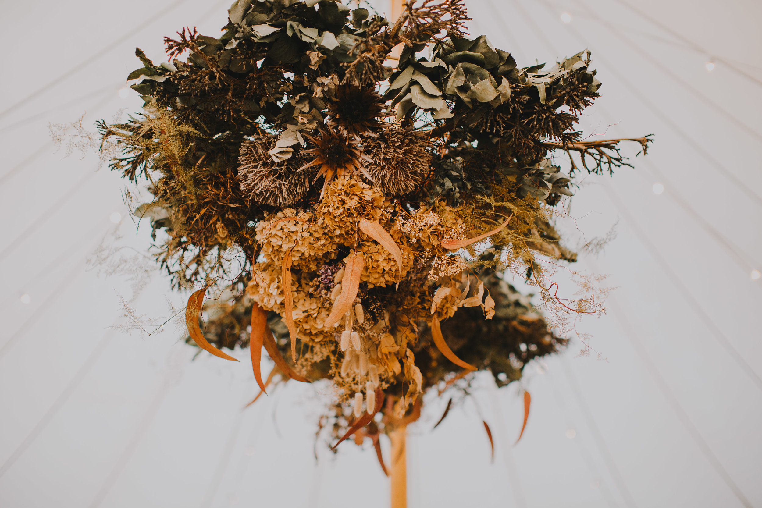 Jeremy Ward   The following is placeholder text known as “lorem ipsum,” which is scrambled Latin used by designers to mimic real copy. Phasellus sodales massa malesuada tellus fringilla, nec bibendum tellus blandit. Phasellus sodales massa malesuada tellus fringilla, nec bibendum tellus blandit. Aenean eu justo sed elit dignissim aliquam.