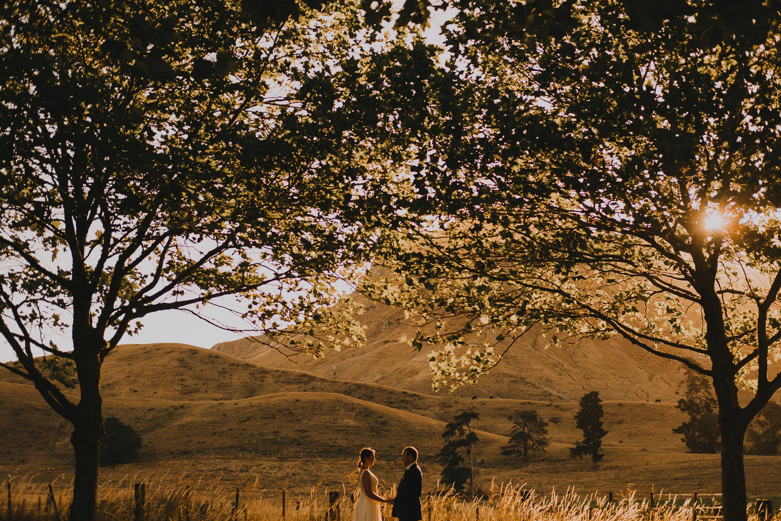 Elizabeth Zhao   The following is placeholder text known as “lorem ipsum,” which is scrambled Latin used by designers to mimic real copy. Phasellus sodales massa malesuada tellus fringilla, nec bibendum tellus blandit. Integer tempus, elit in laoreet posuere, lectus neque blandit dui, et placerat urna diam mattis orci. In sit amet felis malesuada, feugiat purus eget, varius mi. Phasellus sodales massa malesuada tellus fringilla, nec bibendum tellus blandit. Aliquam bibendum, turpis eu mattis iaculis, ex lorem mollis sem, ut sollicitudin risus orci quis tellus.