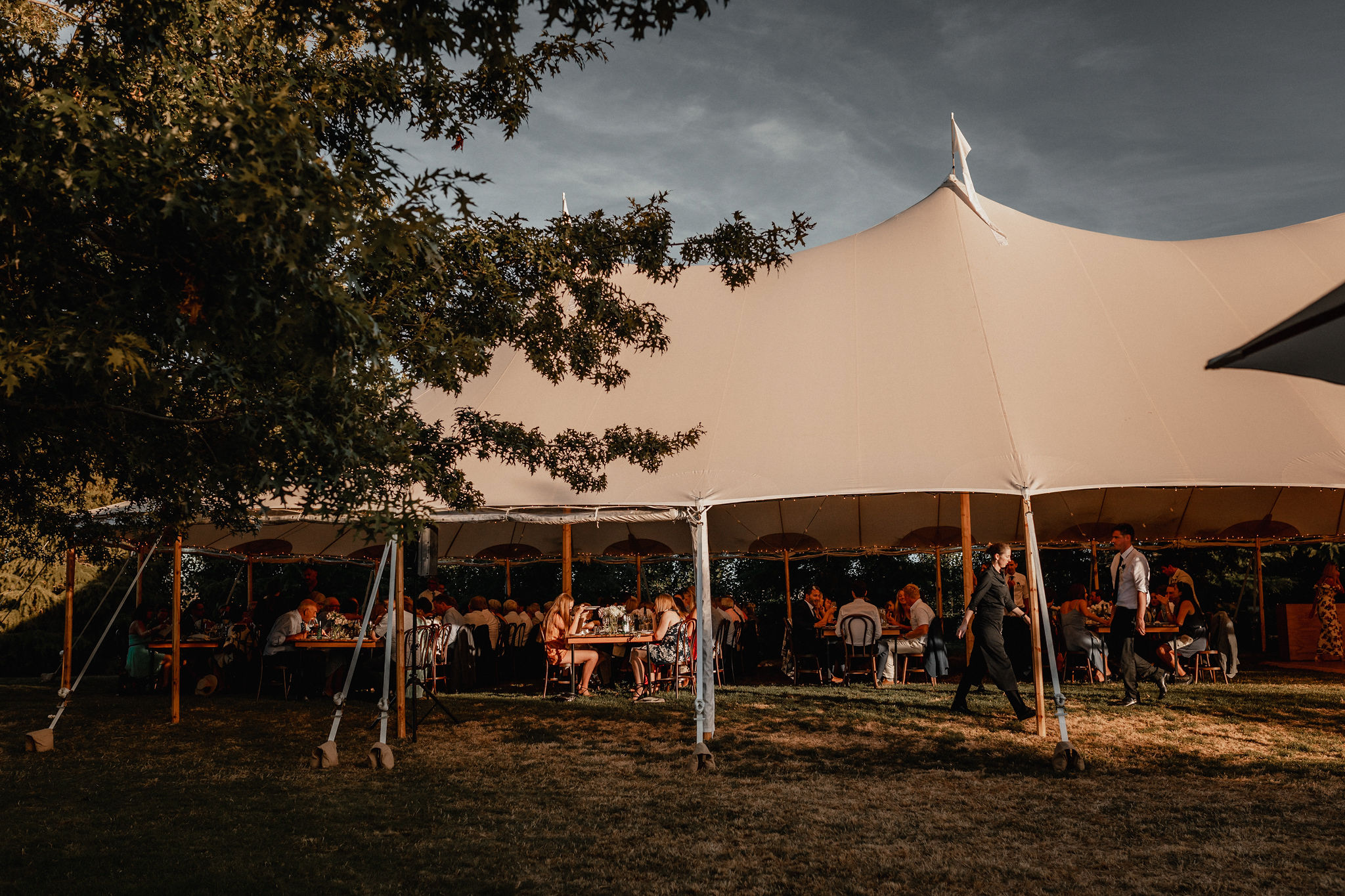 Louis Brown   The following is placeholder text known as “lorem ipsum,” which is scrambled Latin used by designers to mimic real copy. Fusce at massa nec sapien auctor gravida in in tellus. Suspendisse nec congue purus.