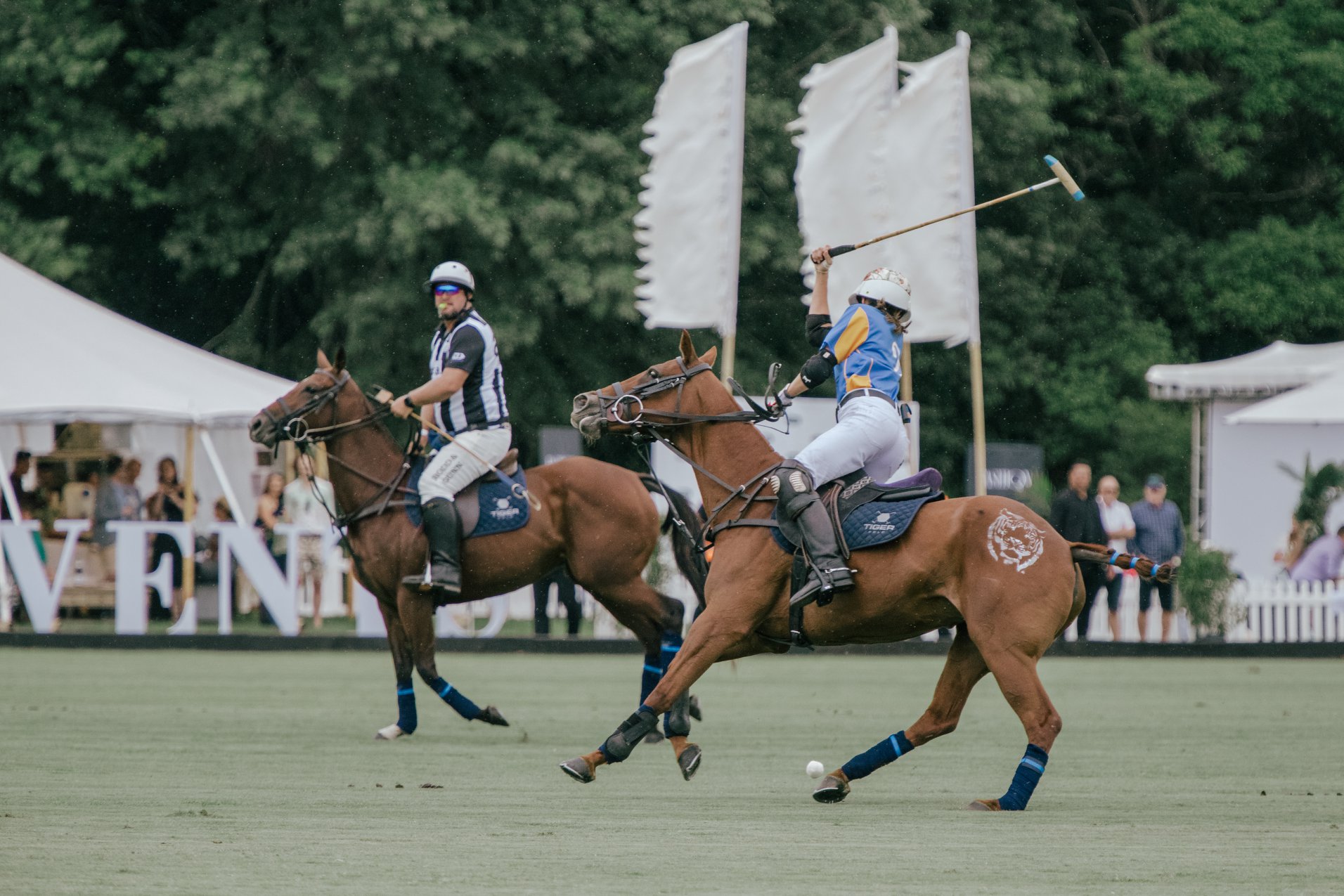 Anthony Brown   The following is placeholder text known as “lorem ipsum,” which is scrambled Latin used by designers to mimic real copy. Class aptent taciti sociosqu ad litora torquent per conubia nostra, per inceptos himenaeos. Class aptent taciti sociosqu ad litora torquent per conubia nostra, per inceptos himenaeos. Vestibulum ante ipsum primis in faucibus orci luctus et ultrices posuere cubilia Curae. Vivamus sit amet semper lacus, in mollis libero. Suspendisse nec congue purus.