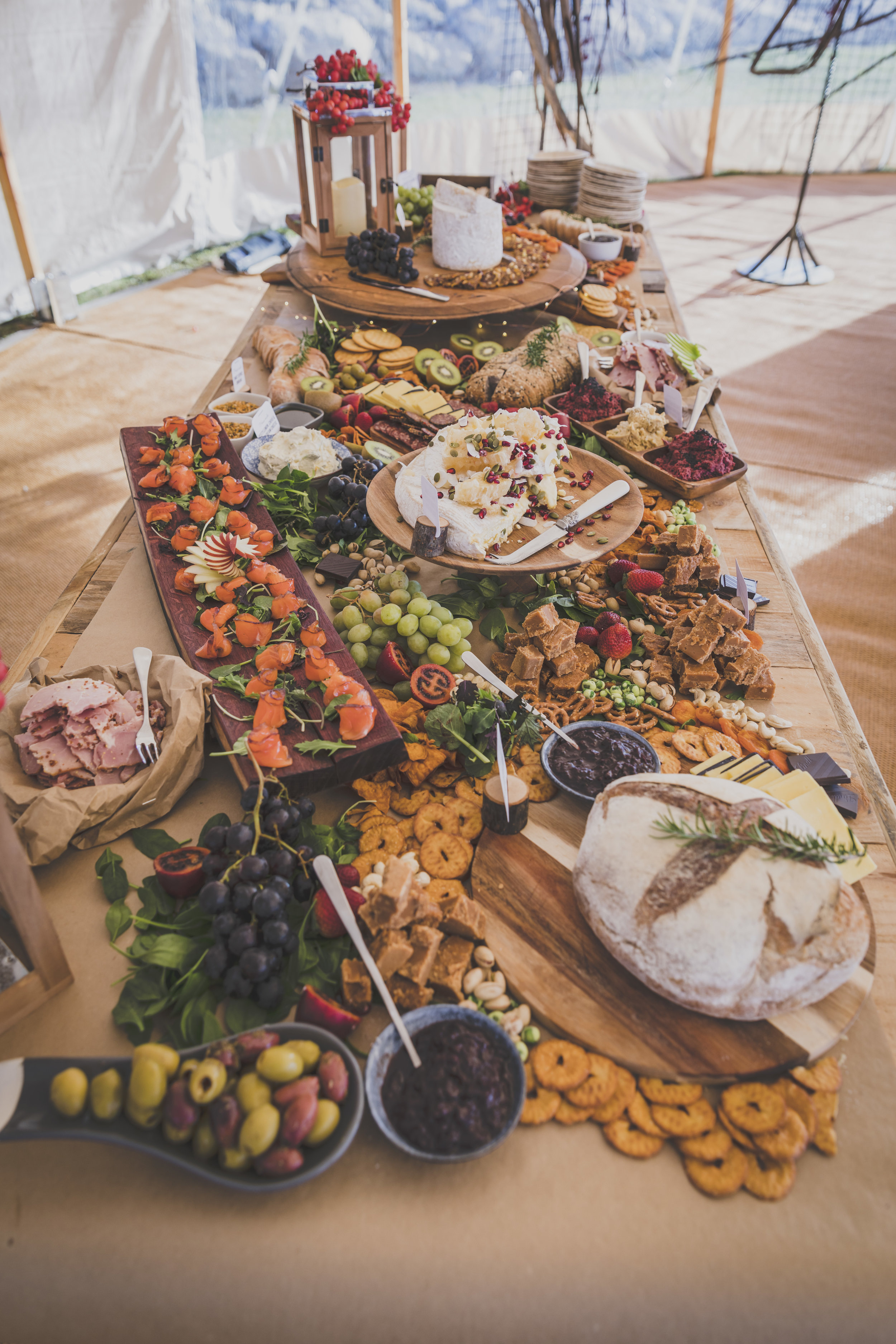 Janet Amirpour   The following is placeholder text known as “lorem ipsum,” which is scrambled Latin used by designers to mimic real copy. Vivamus a ante congue, porta nunc nec, hendrerit turpis. Mauris id fermentum nulla.