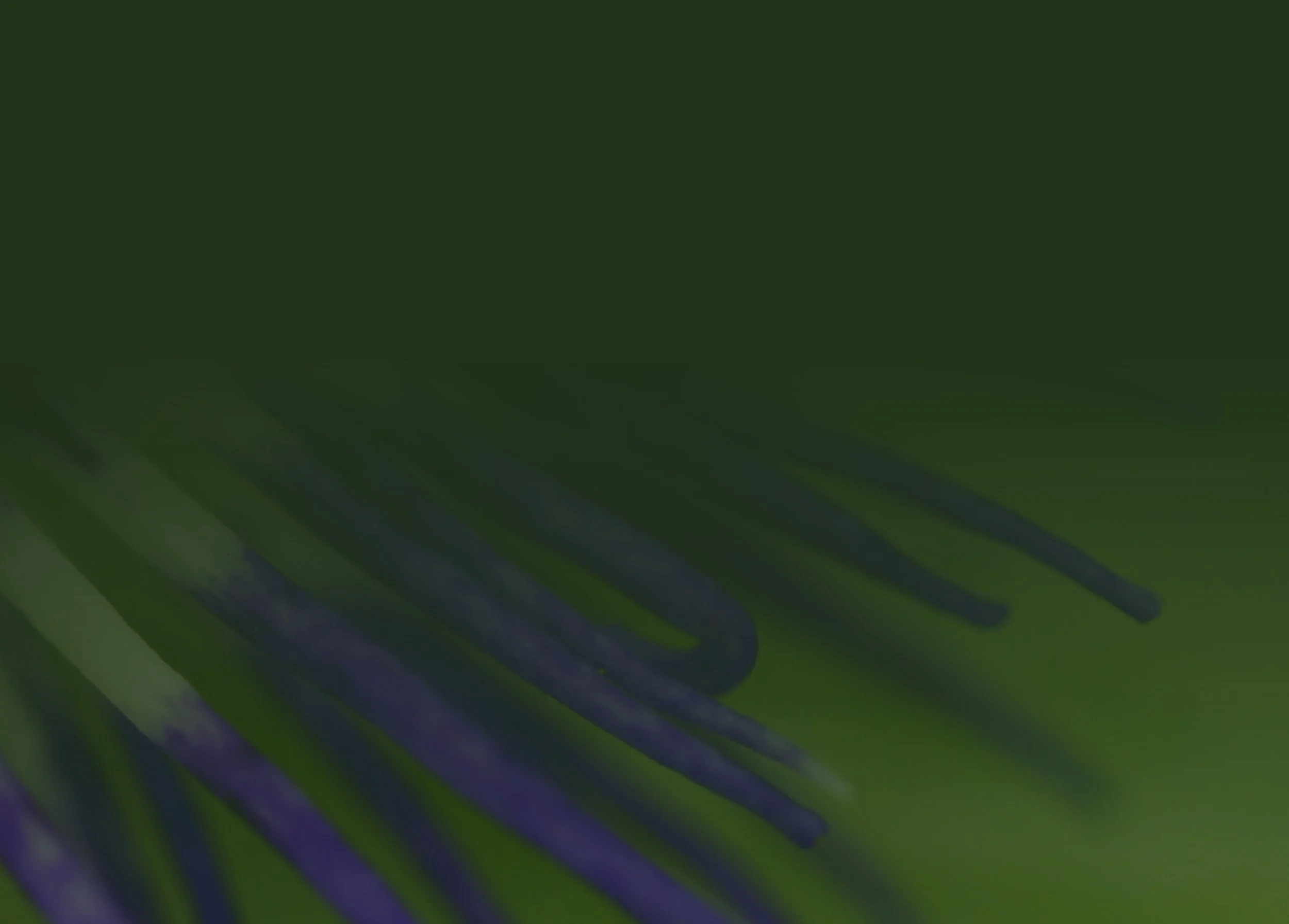 Close-up view of a blue flower with elongated petals or stamens.