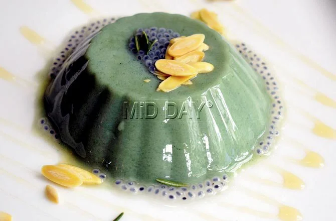 Almond milk and spirulina panna cotta. Pic/Ashish Raje