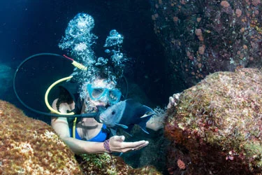 Diving-Hikkaduwa.jpg
